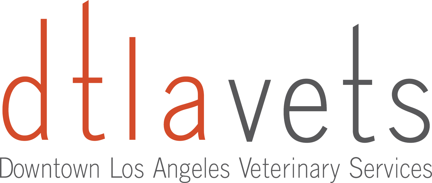 DTLA Vets
