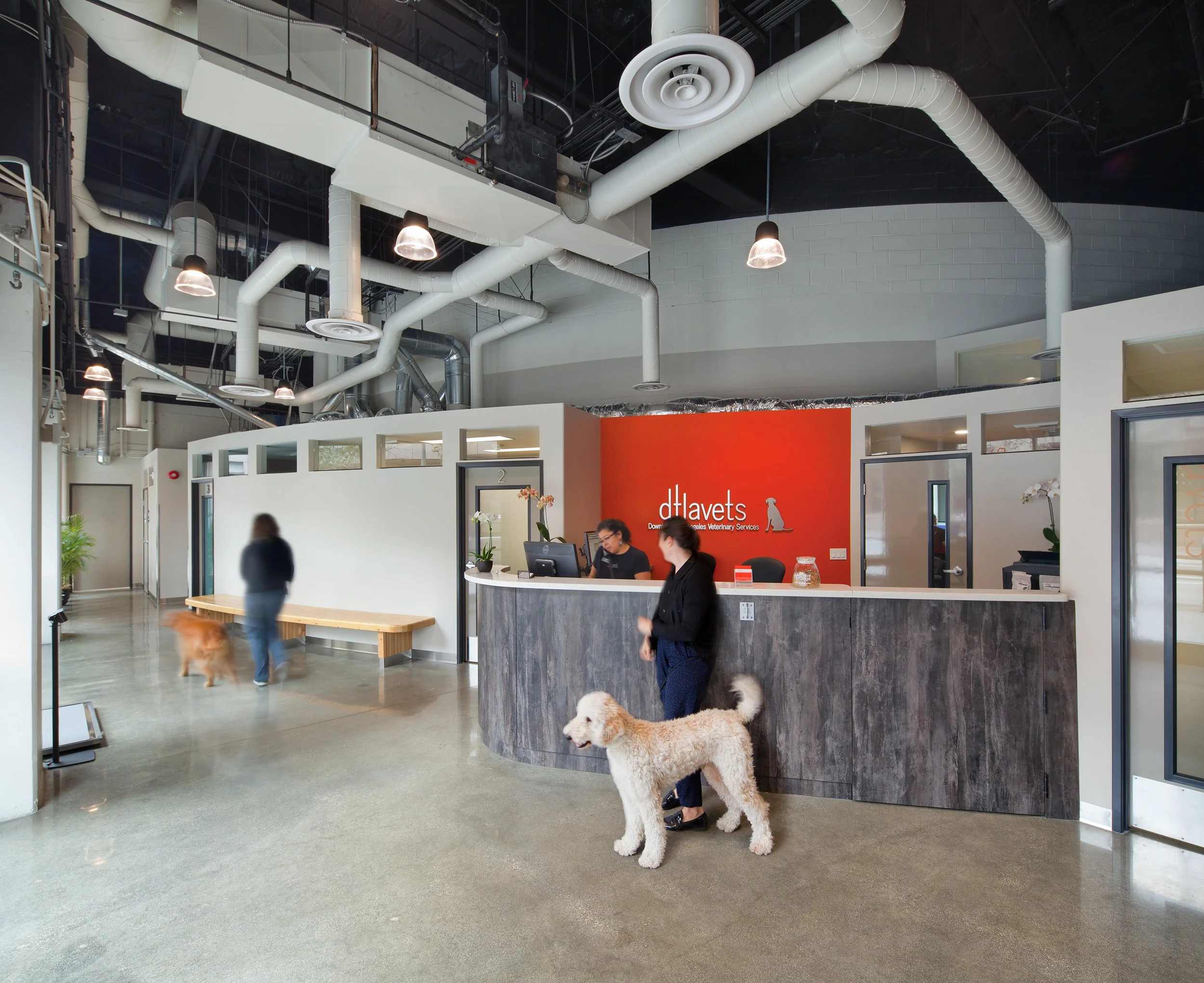 2 waiting overview.jpg