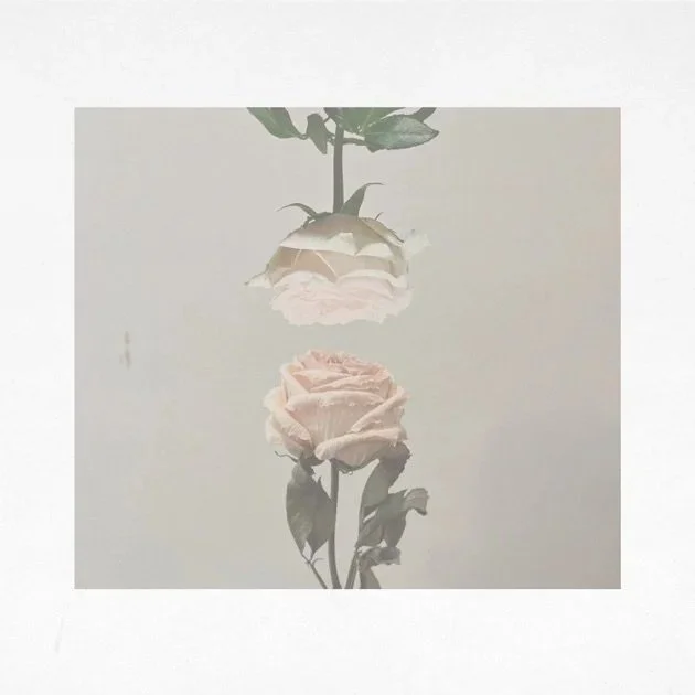 Awolk - Wild Rose EP (Engineer, Mixer, Drums)