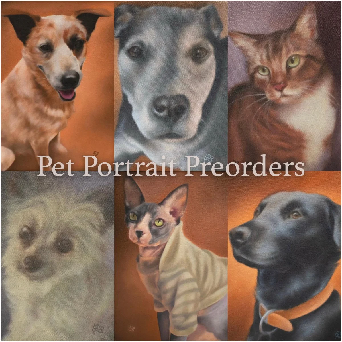 Pet Portrait Commissions