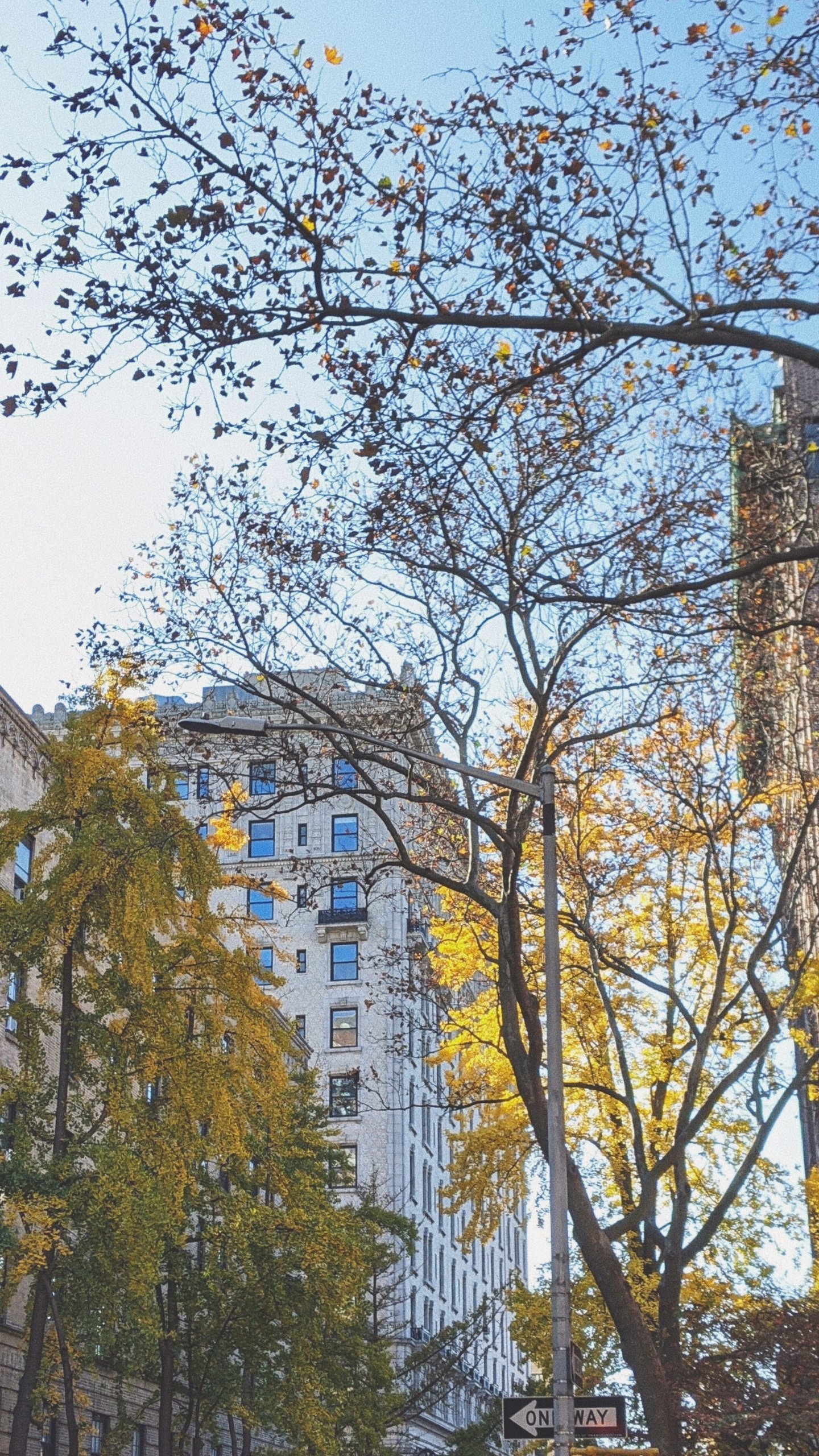 20201114_112054_327.jpg