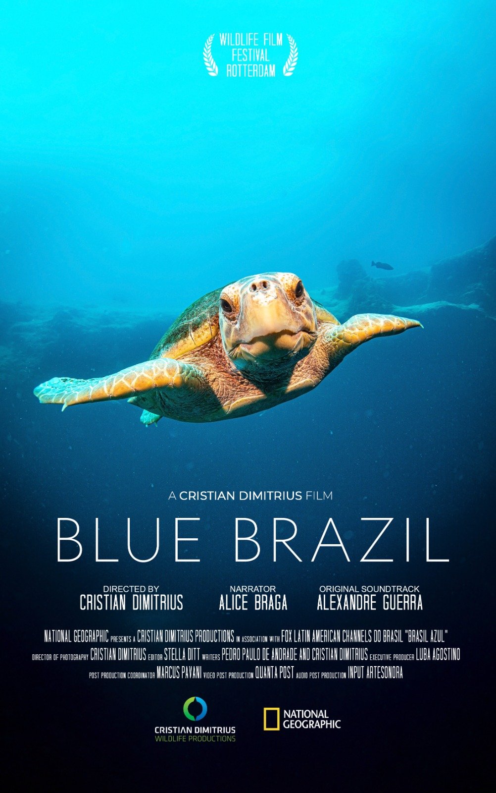 Blue Brazil