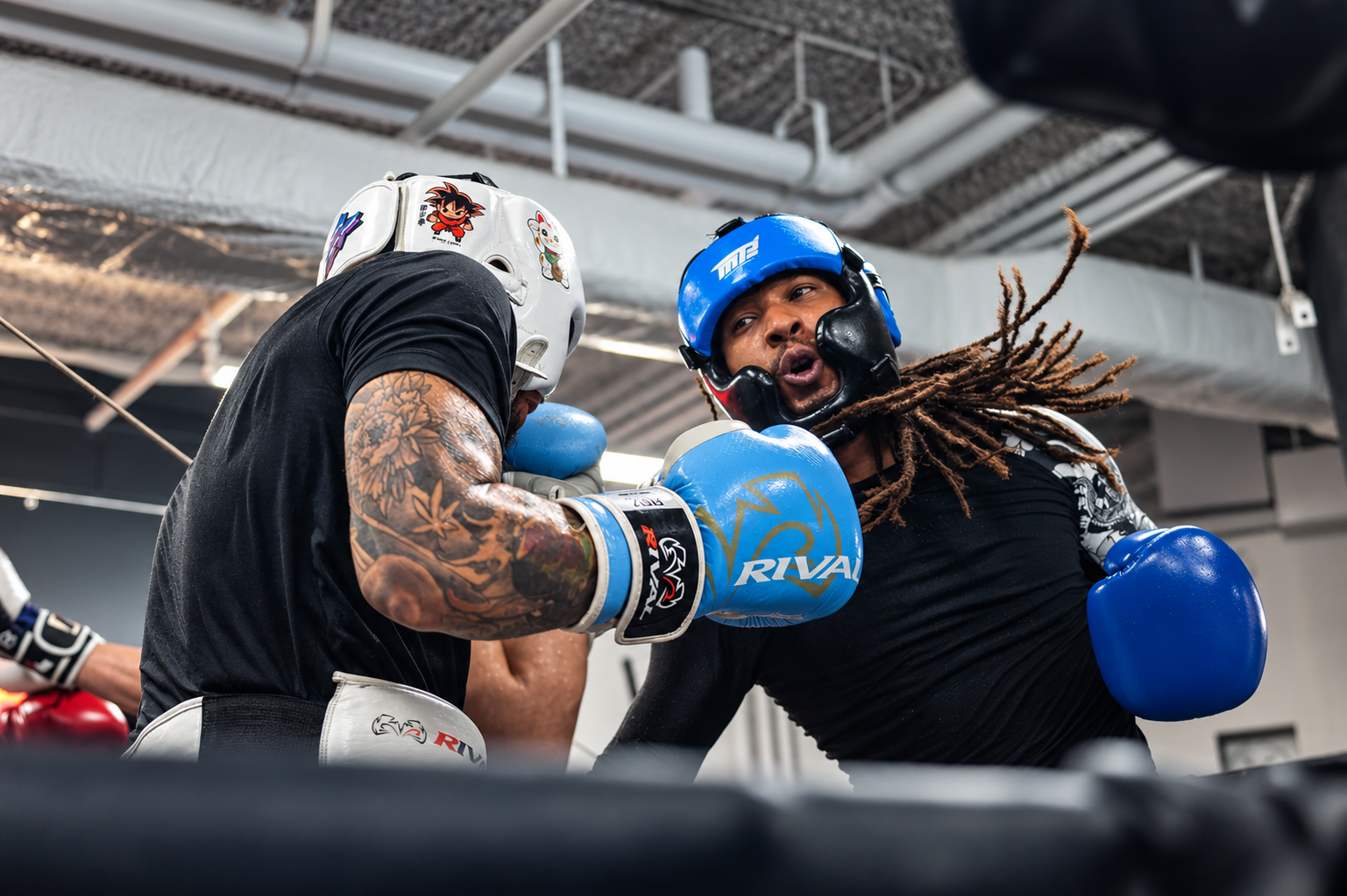TECHNICAL SPARRING