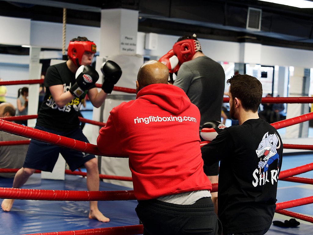 Ringfit Boxing and Fitness