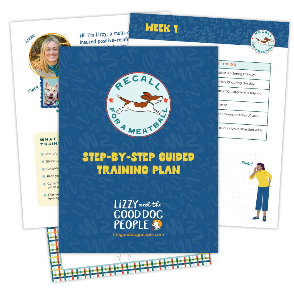 Cover page of a training guide titled 'Step-by-Step Guide Training Plan' from 'Lizzy and the Good Dog People' with a logo of a running dog and the website thegooddogpeople.com. Behind the cover, there are two pages of the training plan, one showing a weekly schedule and tasks for dog training, and the other with a profile picture of Lizzy, a dog, and training tips.