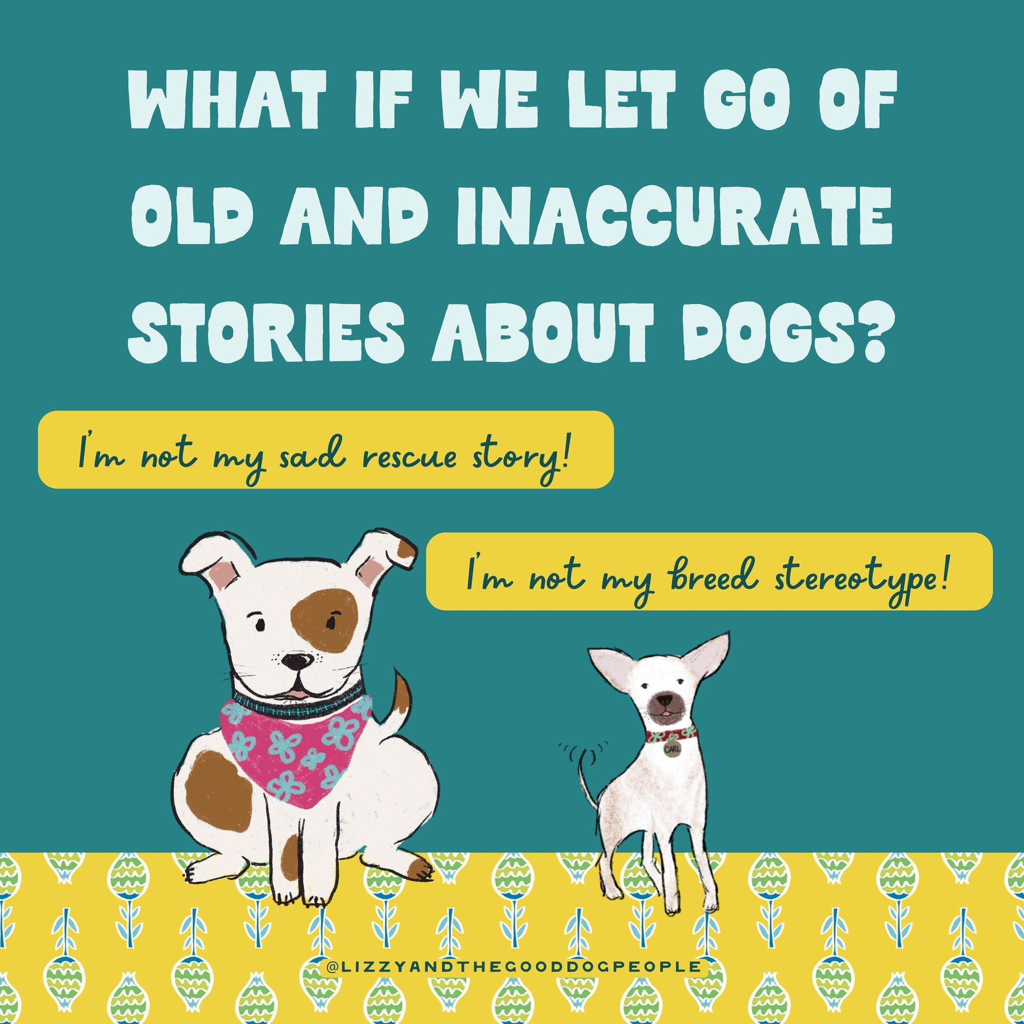 As we journey through life with our dogs, we attach stories to them based on past experiences and preconceived notions. These stories can shape our perceptions and interactions with dogs and often hinder our relationships with them.

Humans are natur