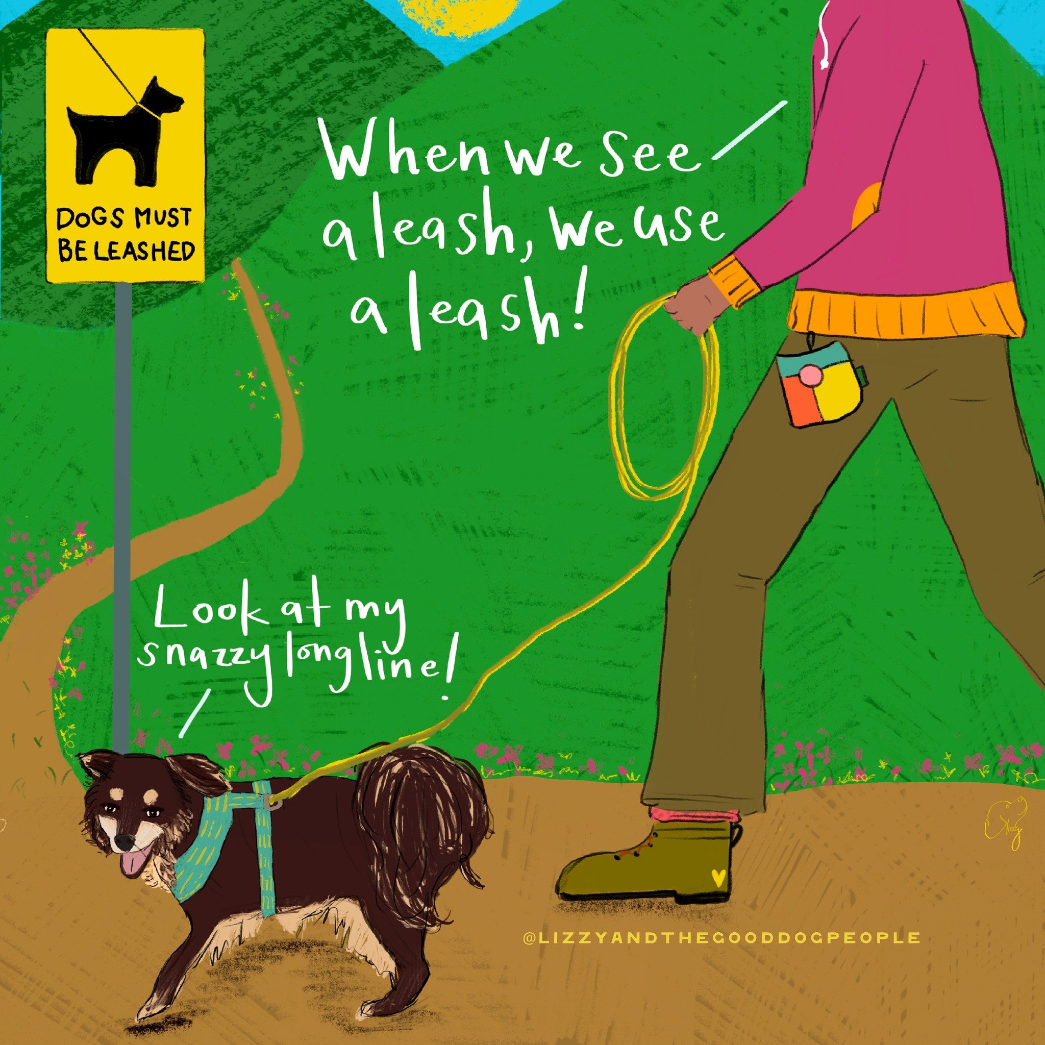 Spring is here! More people are out enjoying the good weather with their dogs. Honoring leash laws and using leashes in public places is one way to be a thoughtful community member.

Safety:&nbsp;Leashes prevent our dogs from running into traffic, ch