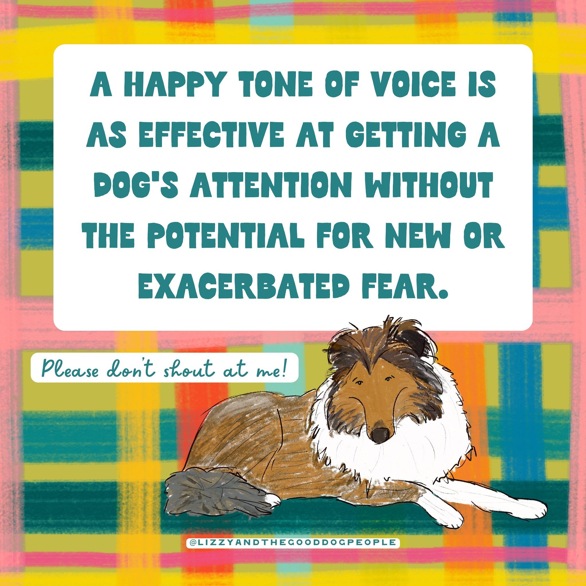 My clients are always so happy to hear that a happy tone of voice is as effective at getting a dog&rsquo;s attention without the potential for new or exacerbated fear.

#dogtrainer #dogs #dogsofinstagram #dog #shelterdog #rescuedog #love #kindness #c