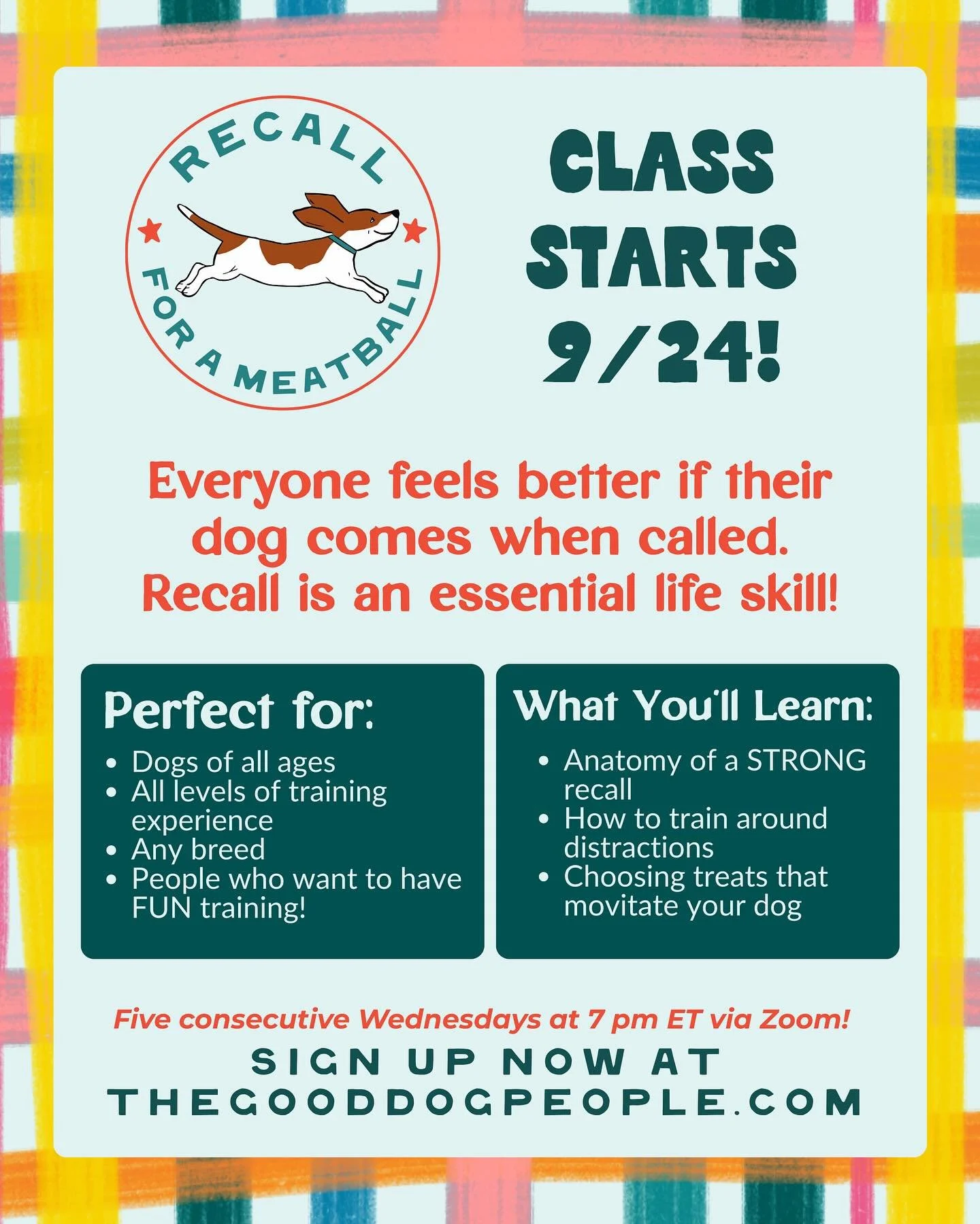 Recall For a Meatball starts Wednesday, September 24, at 7 pm EST! Build a super-strong recall using fun, force-free methods. 🏆

My class is perfect for learners at all skill levels; even trainers take the course! Our small group meets live via Zoom