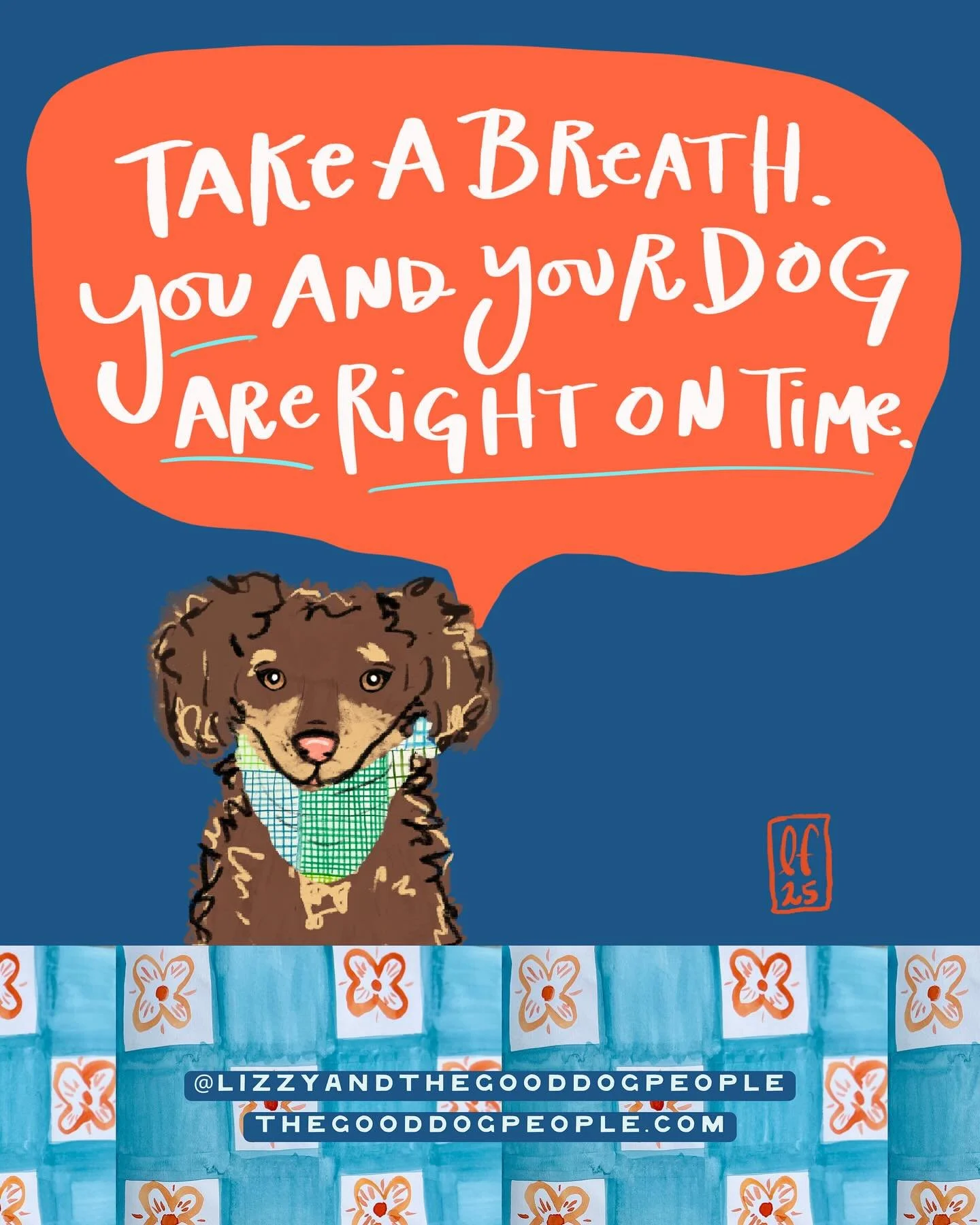 Please honor the pace of training and behavior modification that works for your dog. Social media conditions us to compare and feel chronically behind. You and your dog are right on time. (Promise!) We&rsquo;re wrapping you in some extra love today! 