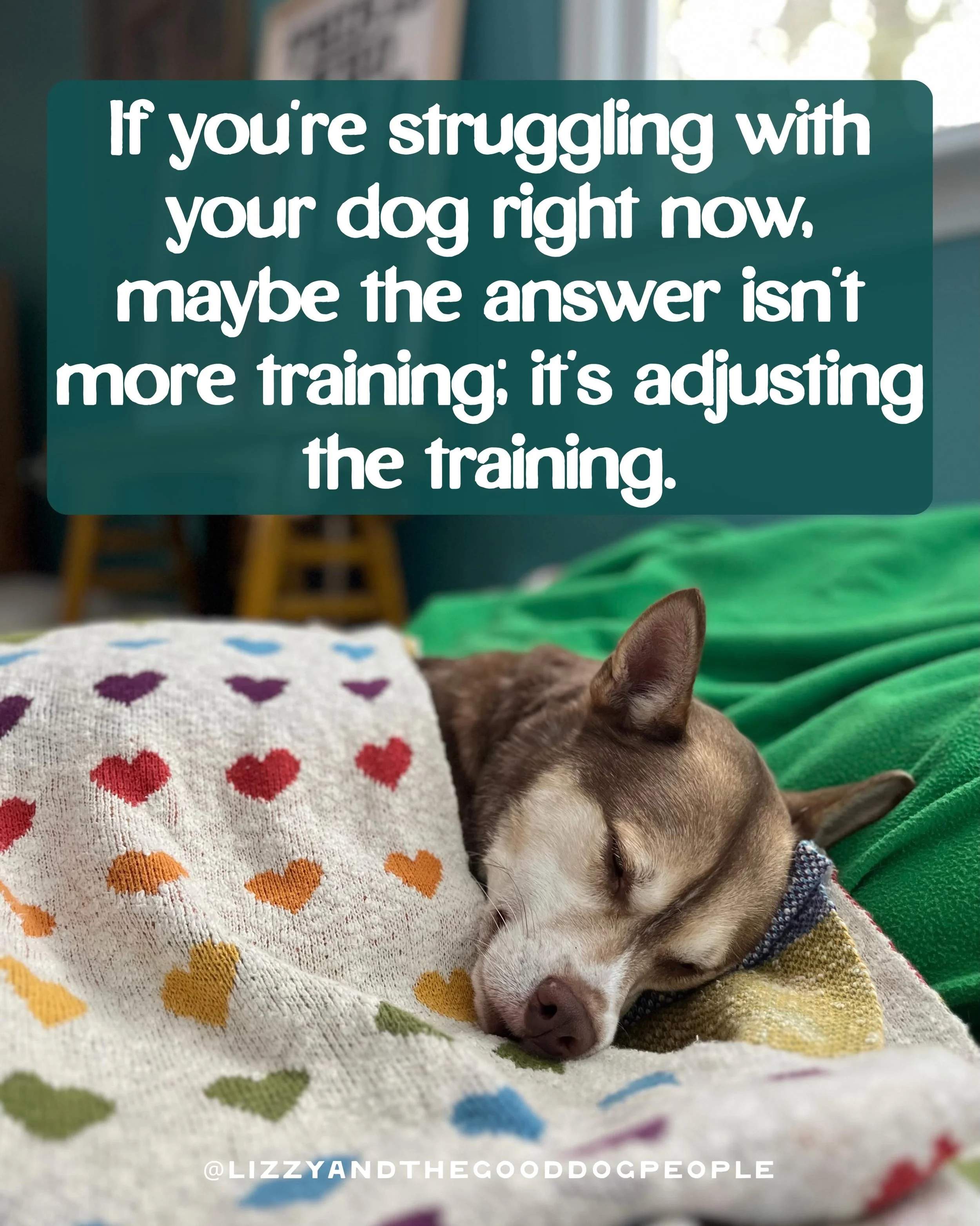 If you&rsquo;re struggling with your dog right now, sometimes the answer isn&rsquo;t more training; it&rsquo;s adjusting the training.

Dogs are individuals. What works for one dog may overwhelm another.

Good training is about adapting and adjusting