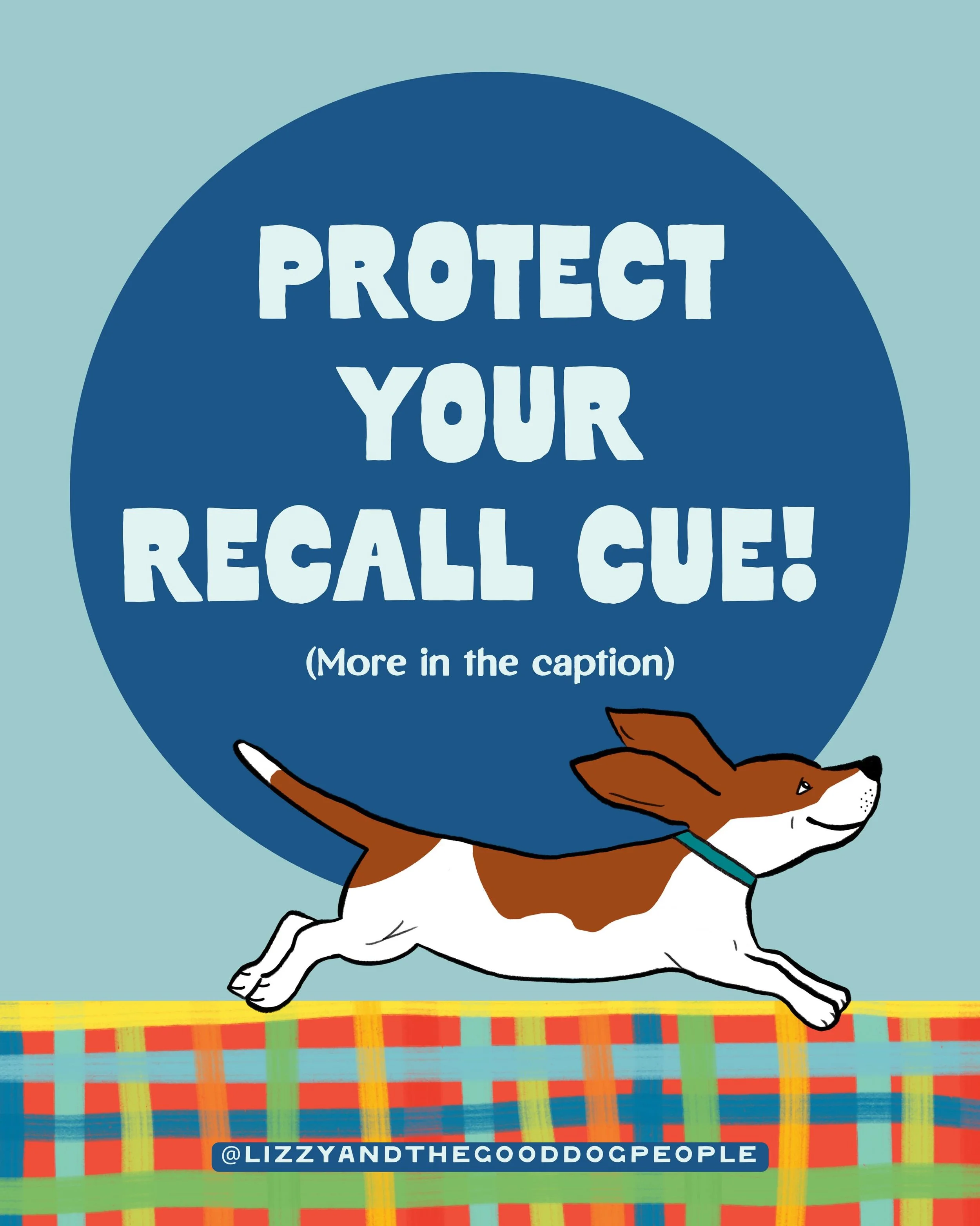 We&rsquo;ve all been there&mdash;you call your dog, and they just don&rsquo;t come.&nbsp; If your recall isn&rsquo;t as sharp as it used to be, you might need to &ldquo;guard&rdquo; your cue more carefully!1

Here are 3 guidelines to protect your rec
