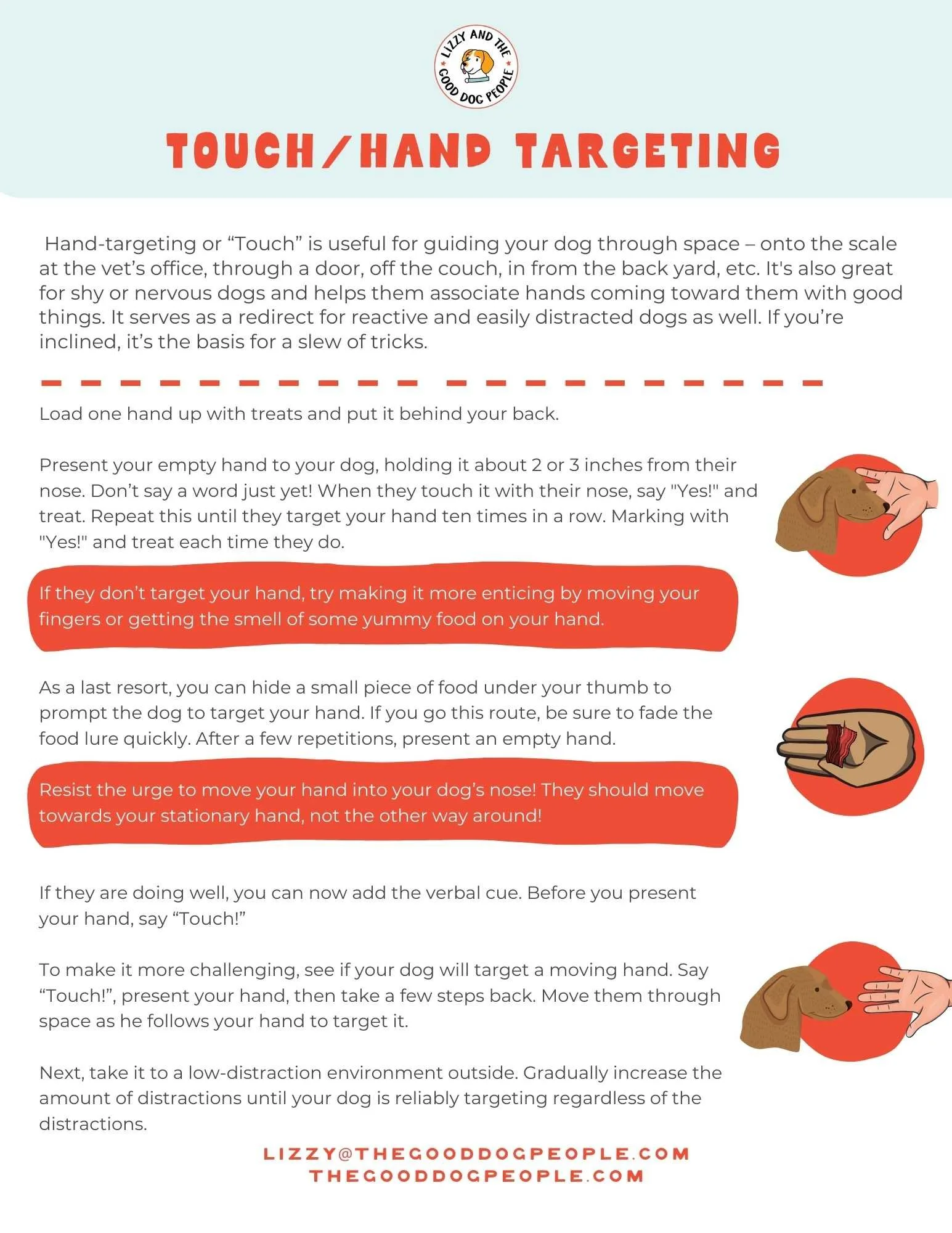 Guide on touch and hand targeting techniques for training dogs, with illustrations of a hand and a dog in different targeting exercises.