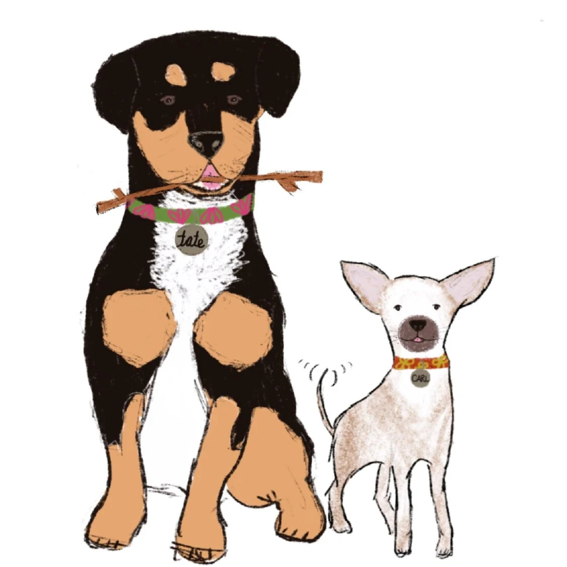 Illustration of two dogs, a large Rottweiler puppy holding a stick in its mouth and wearing a collar with a name tag 'Tate', and a smaller white dog with large ears wearing a red collar with a name tag 'Carl'.