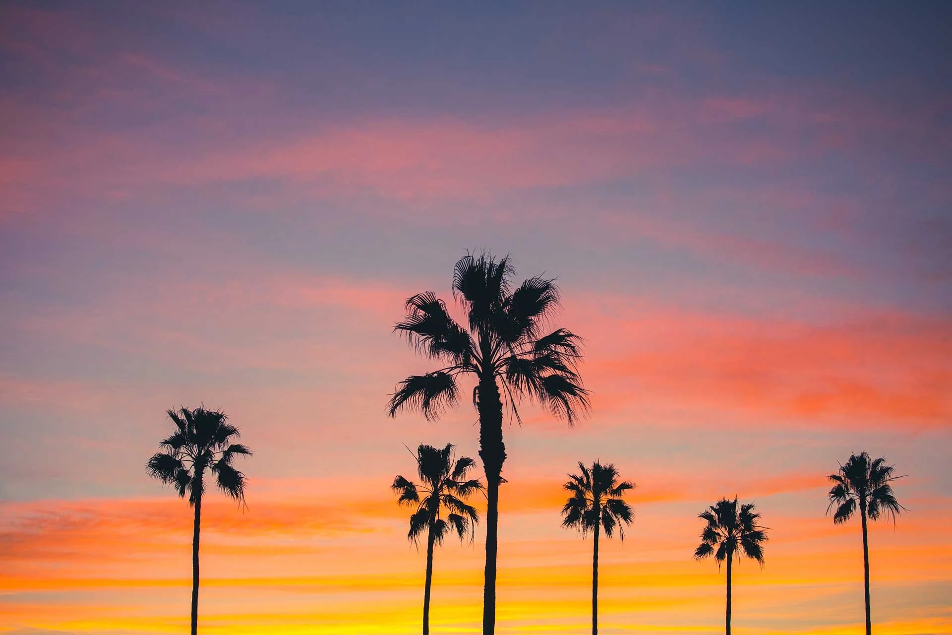 Six-Palms-and-a-Sunrise.web.jpg