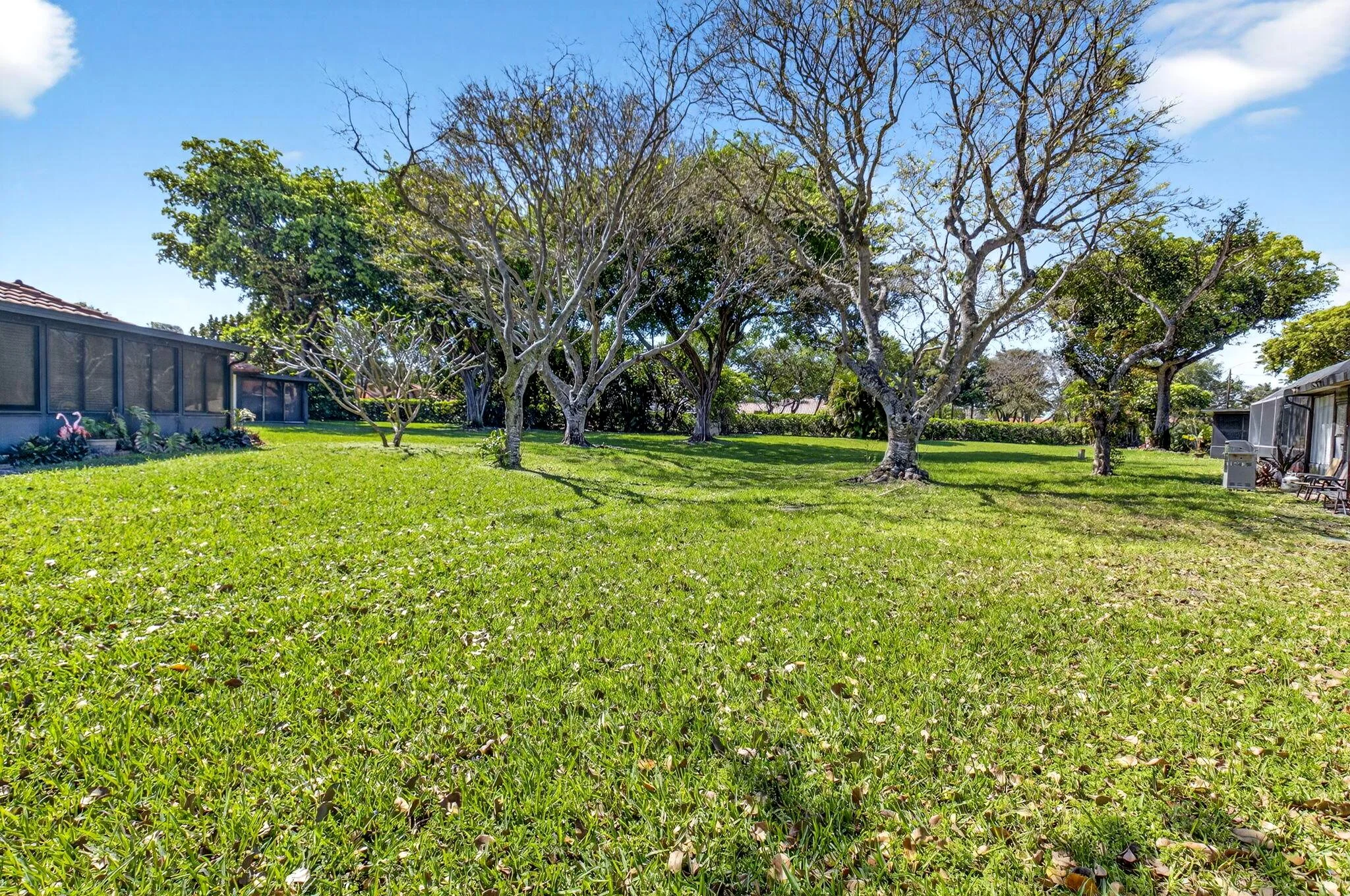 28-Palm Chase-Boynton Beach-Backyard.jpg