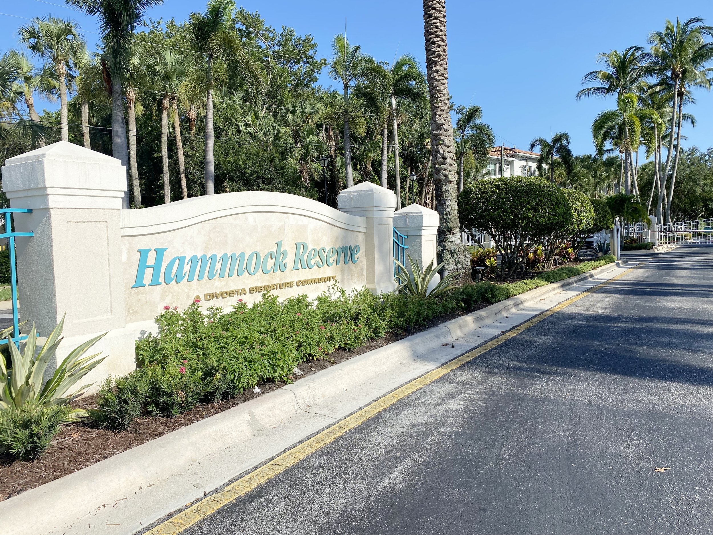 01-Hammock Reserve By DiVosta.jpeg
