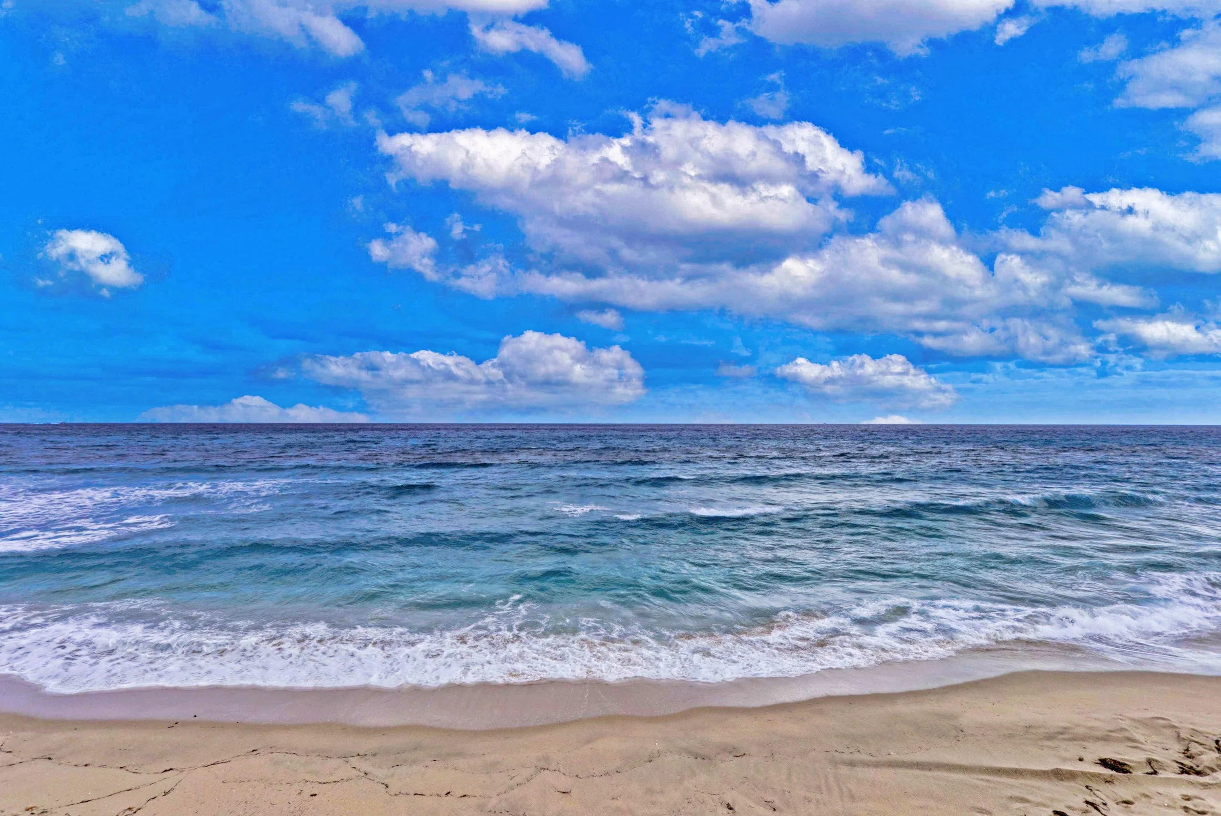 59-Oceanfront Condo Palm Beach.jpg