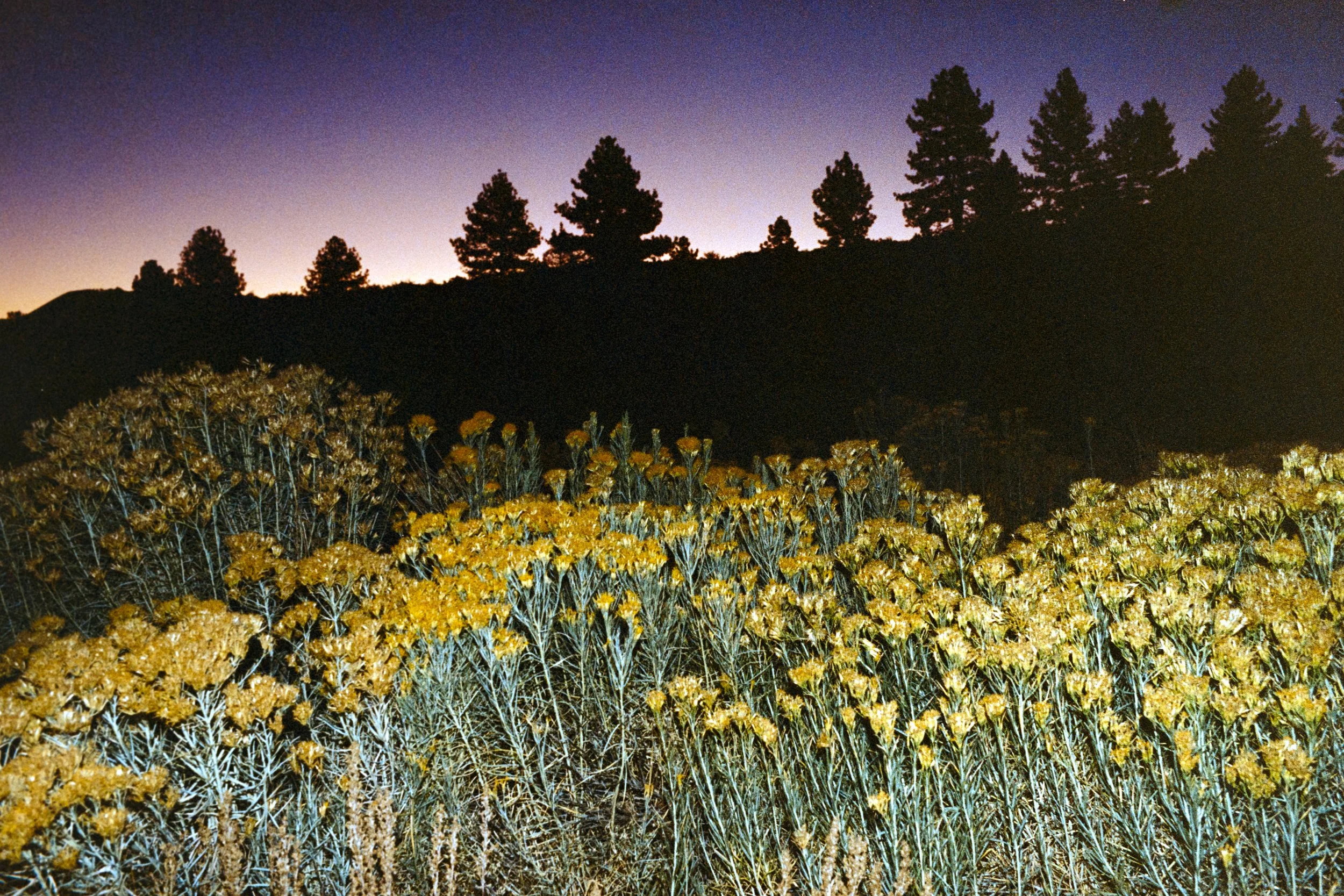 leica-3.jpg