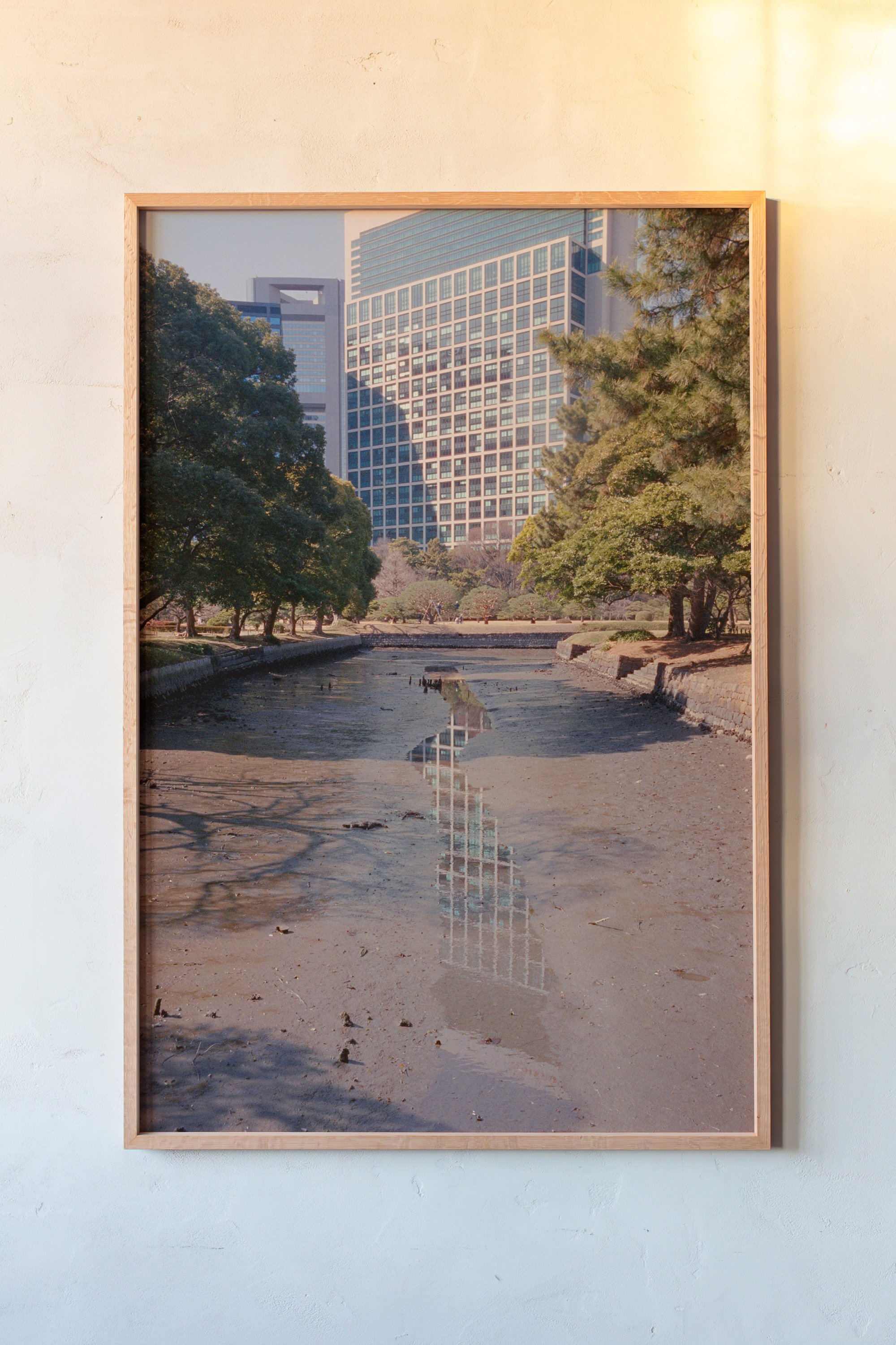 reflection print.jpg