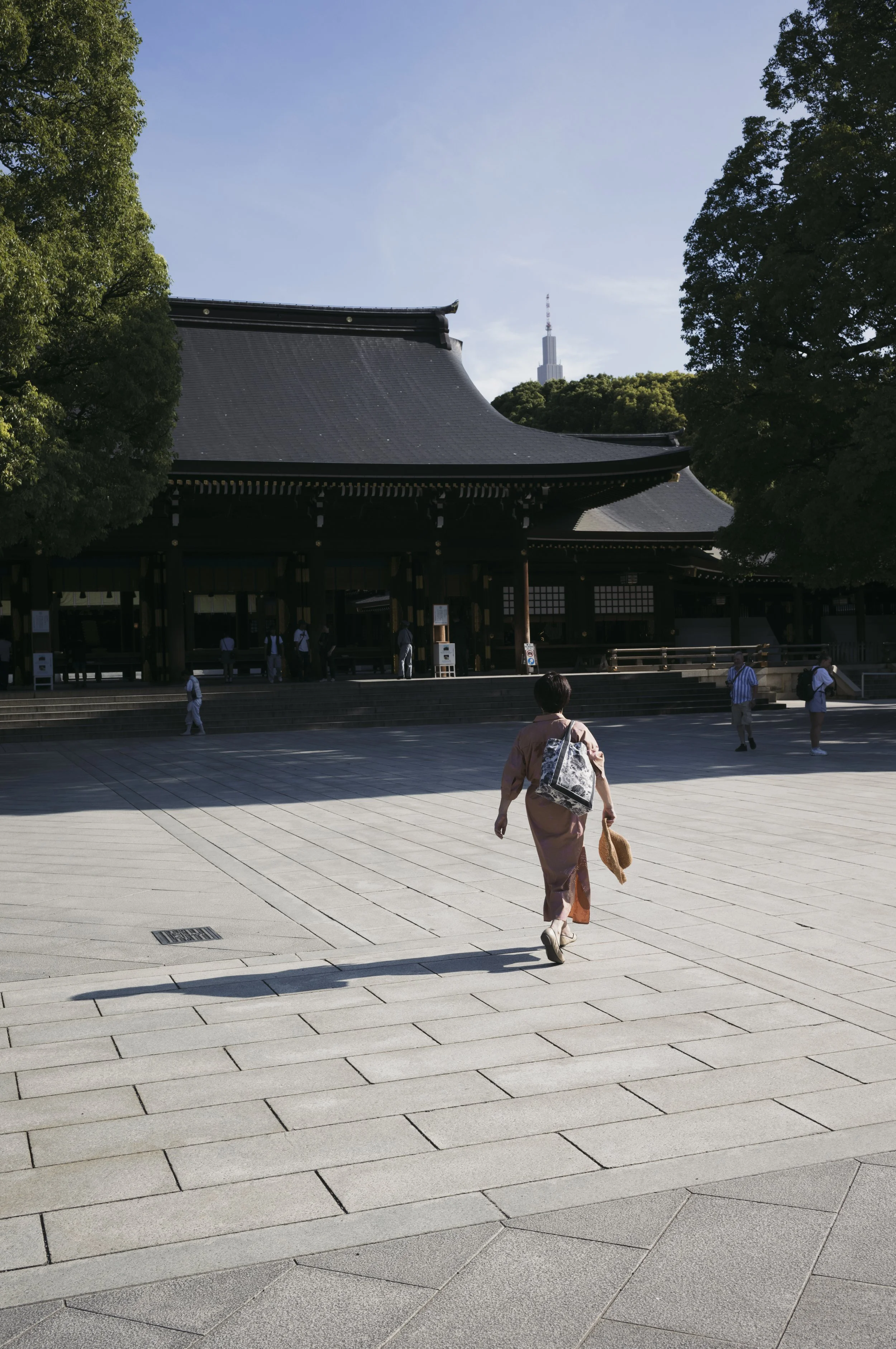 Japan-9.jpg