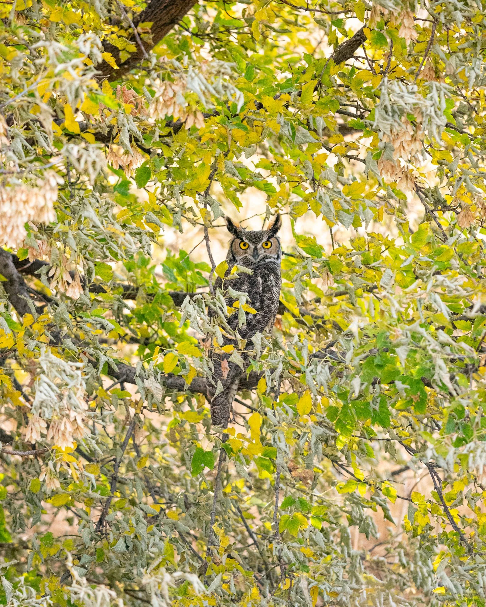 WebsiteTwo (6 of 10).jpg