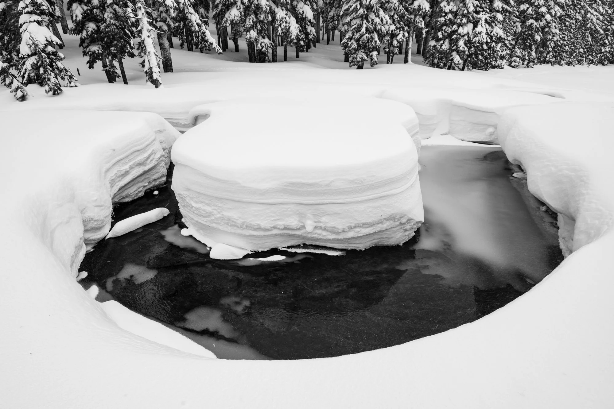 WebsitePortfolioUpdate (2 of 15).jpg