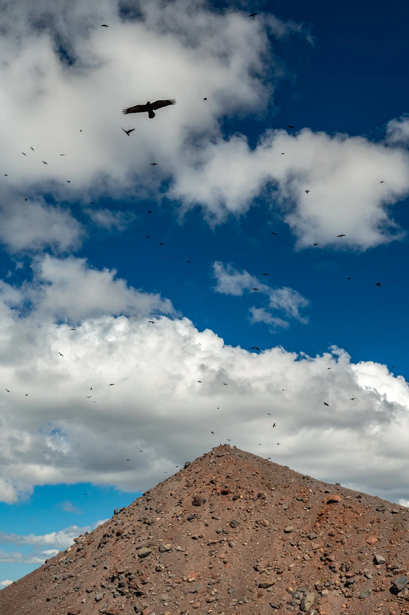 WebsitePortfolioUpdate (14 of 15).jpg