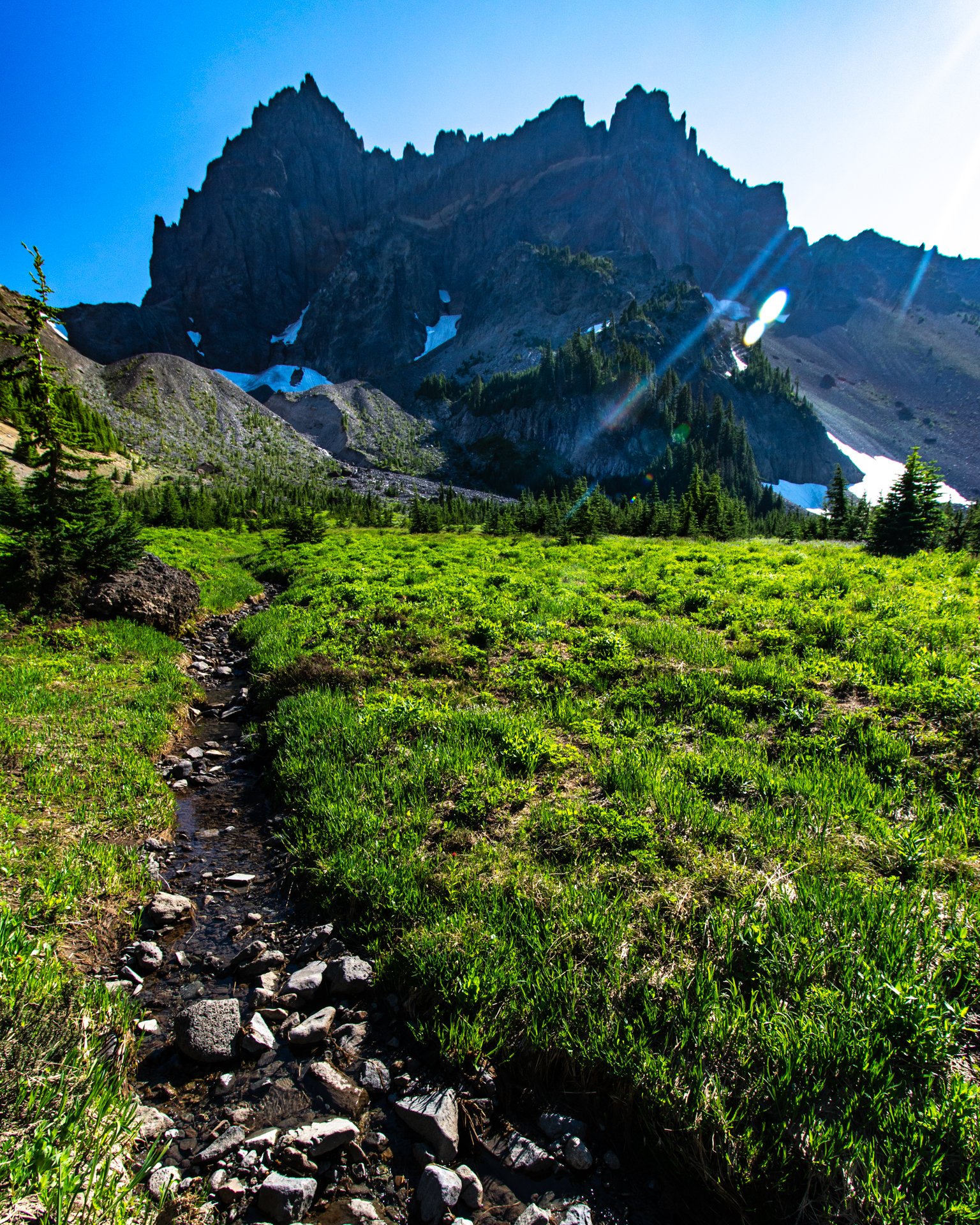 Alpine Meadow