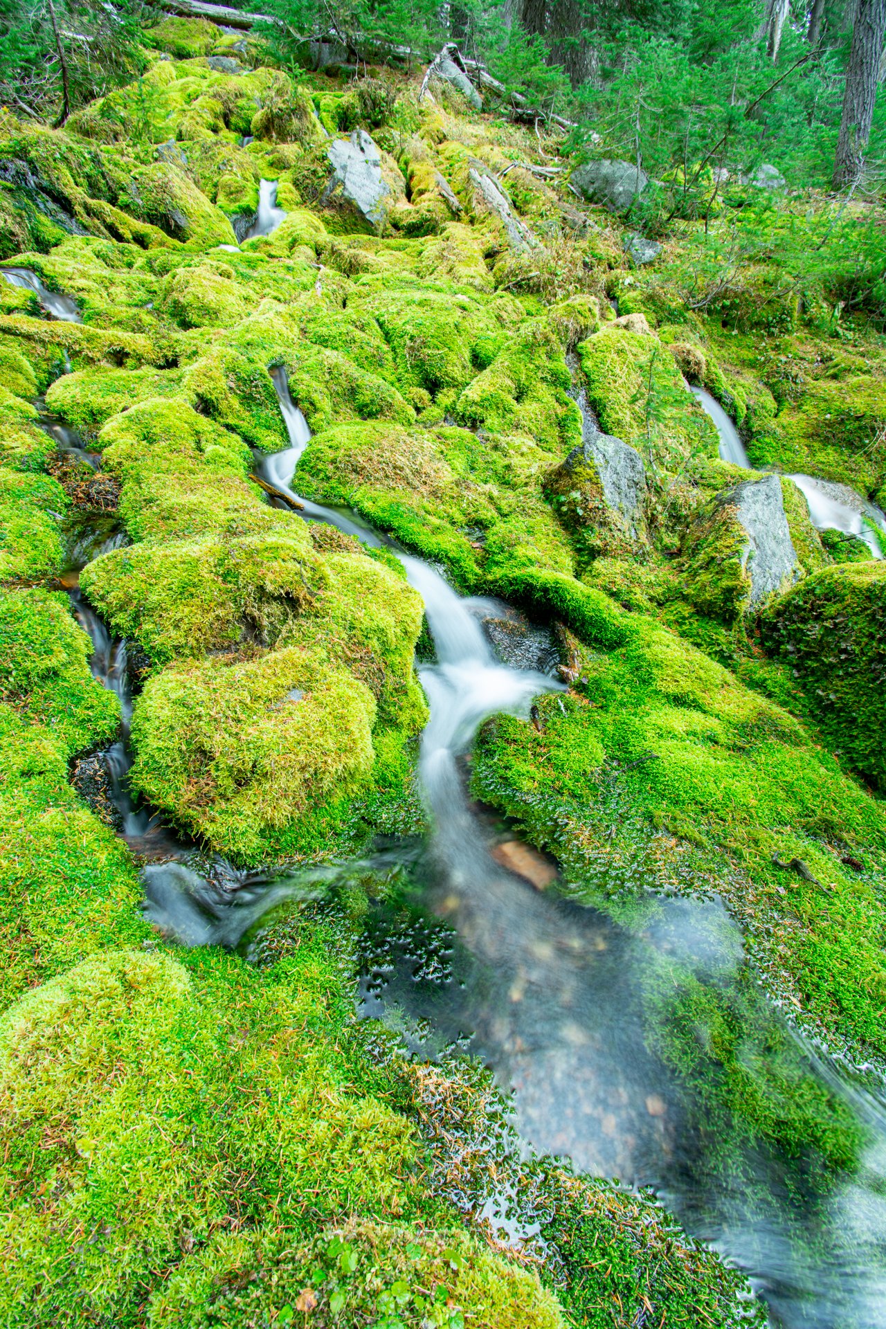 Moss Falls