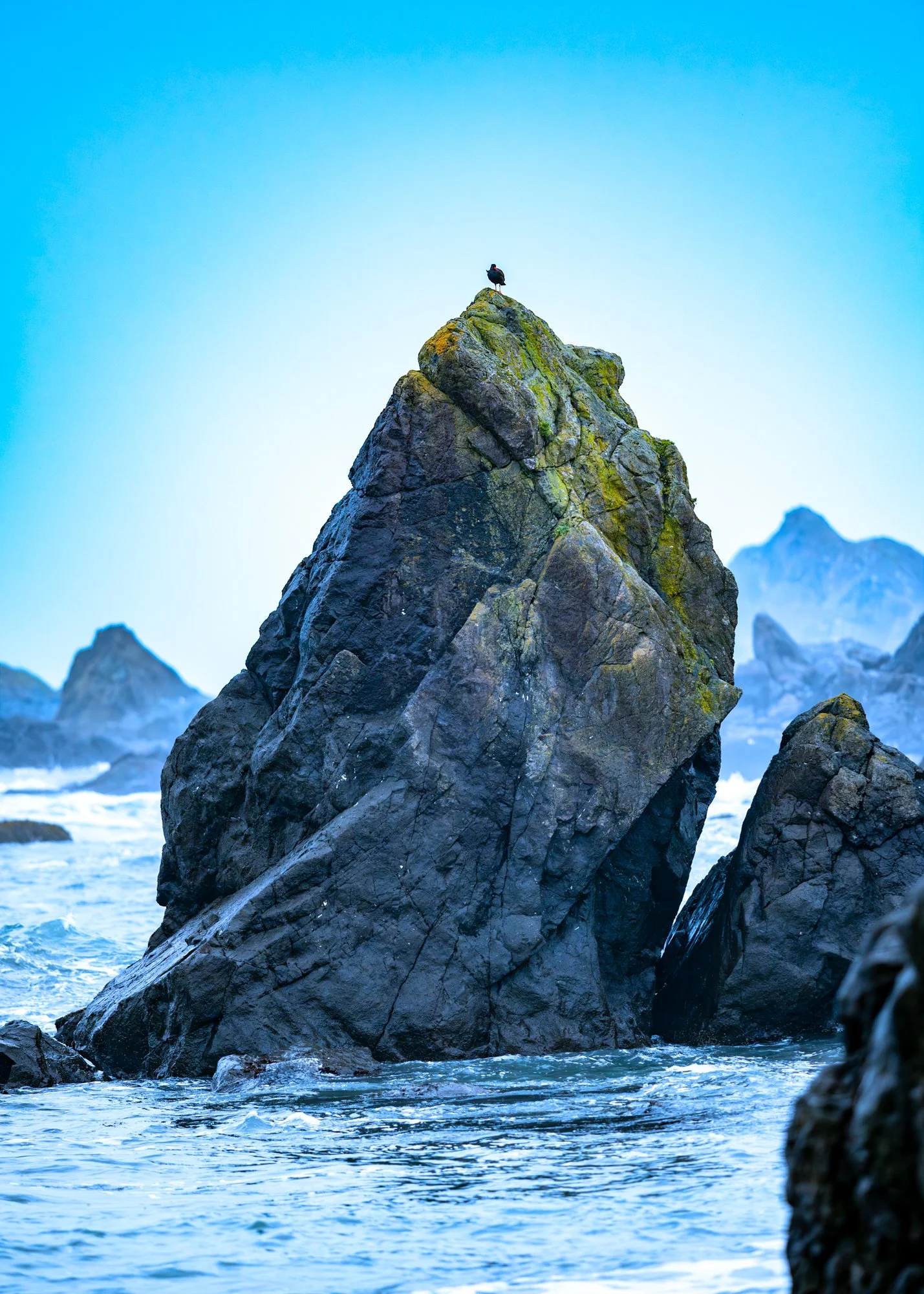 WebsiteTwo (10 of 10).jpg