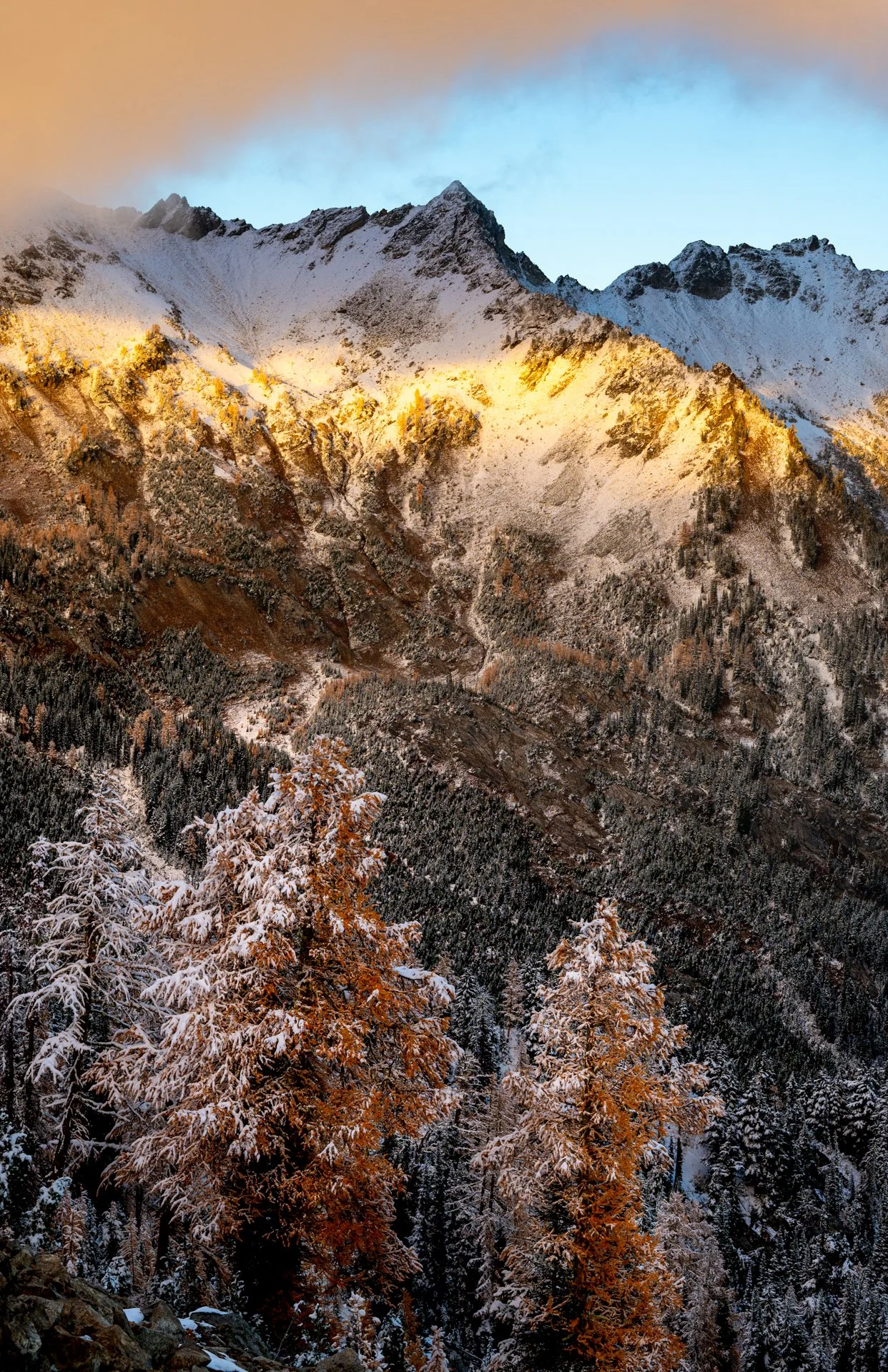 Carne Mountain View II