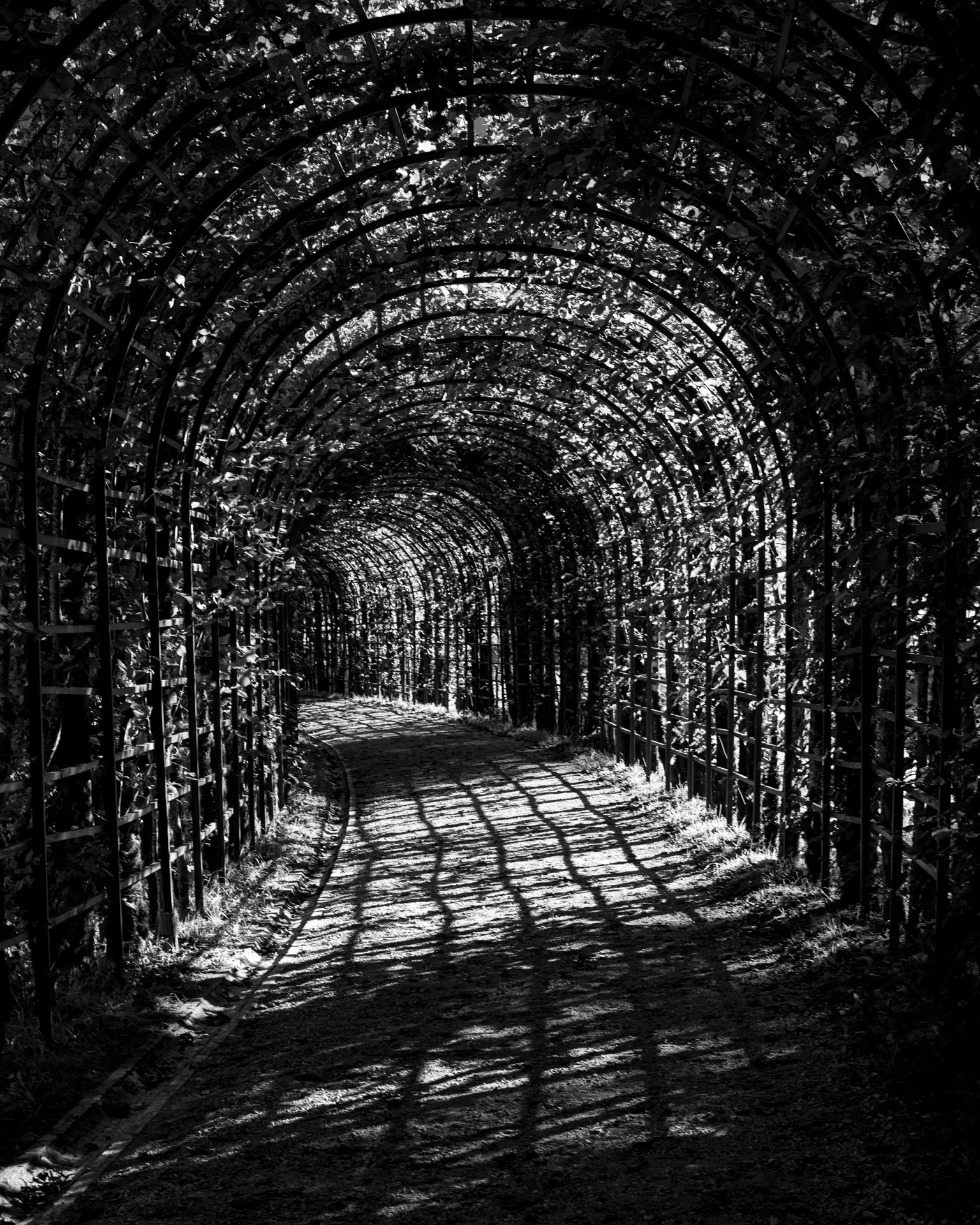 Schlossgartenschaten