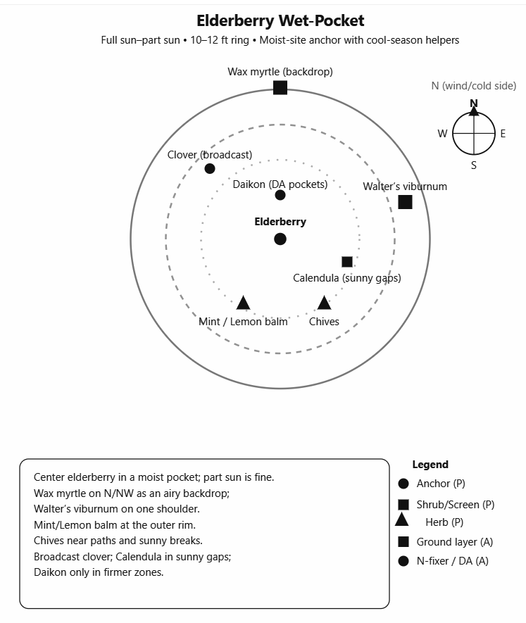 January Guild Challenge