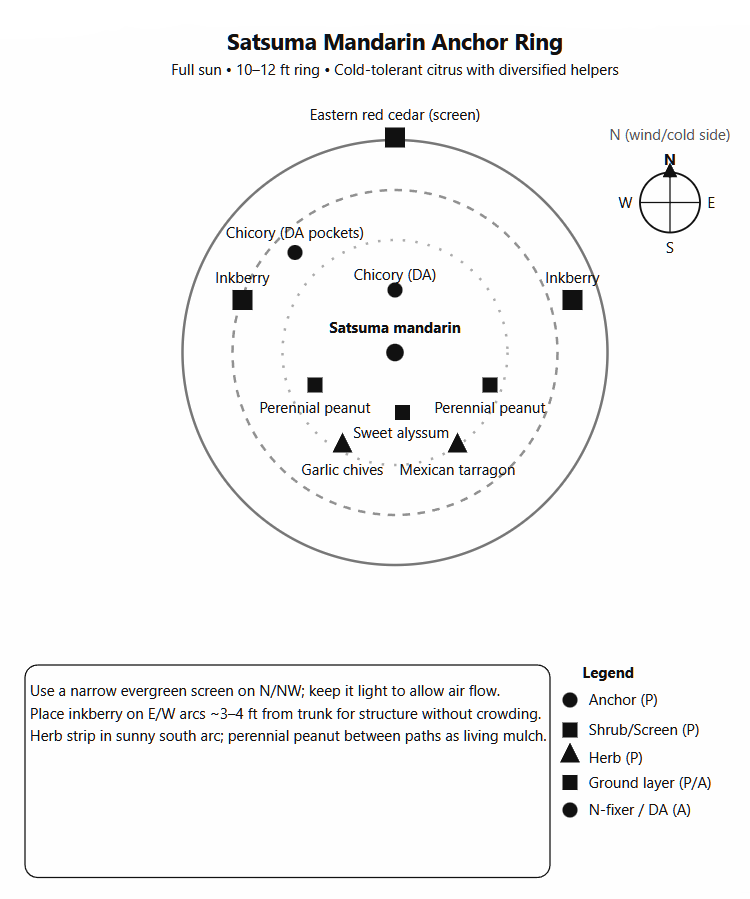 February Guild Challeng