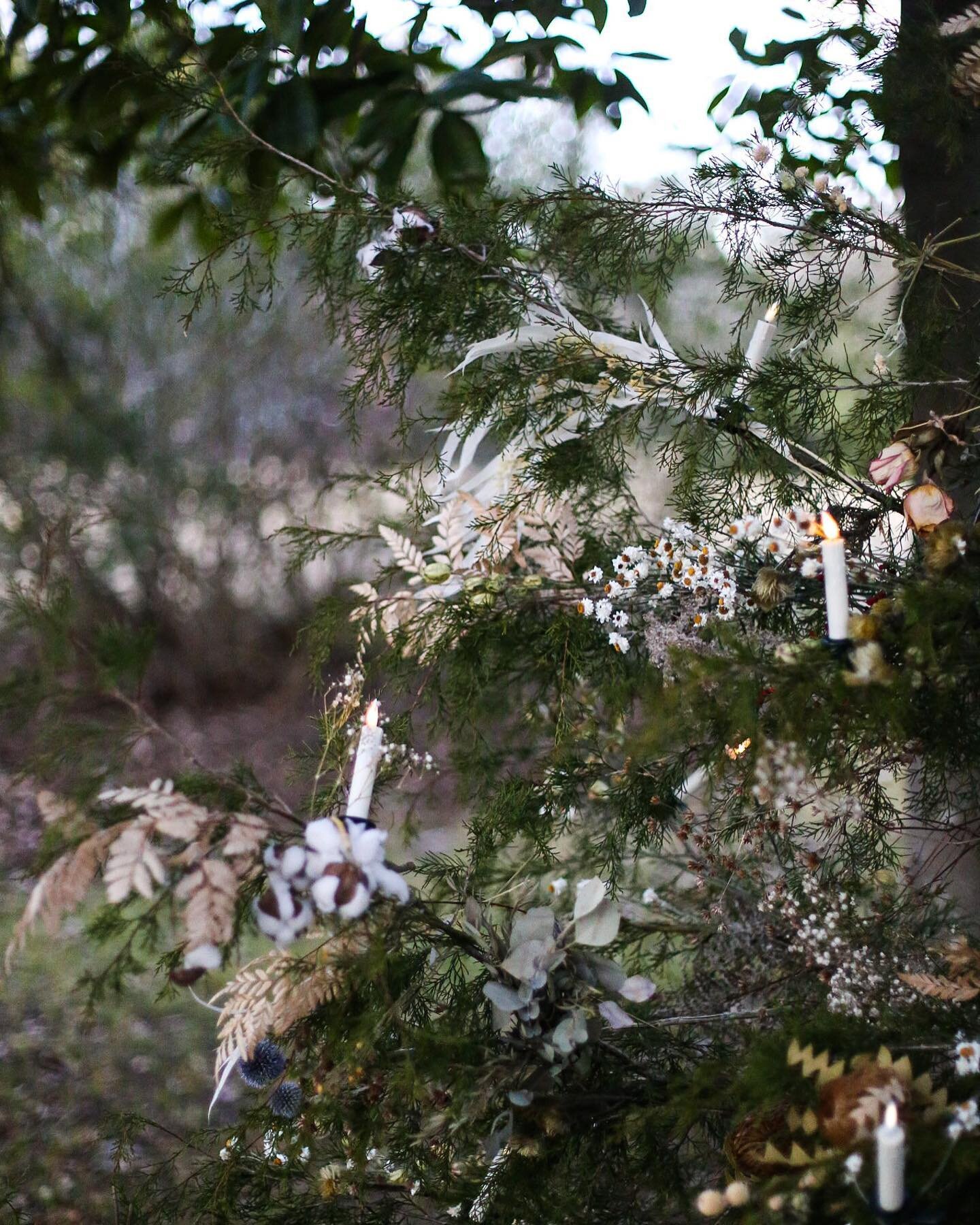 This simple tree that the kids and I walked through the woods to find and cut down for the Christmas insert in the book will be forever my favorite. Decorated with dried flowers and simple candles. It&rsquo;s just simple natural beauty on display.