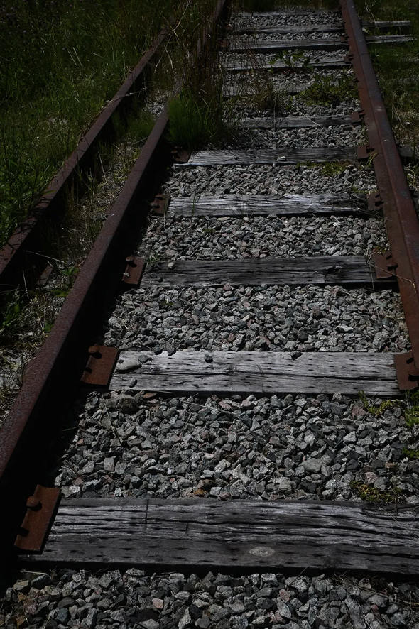 Screenshot 2026-02-19 at 5.23.34 PM.png