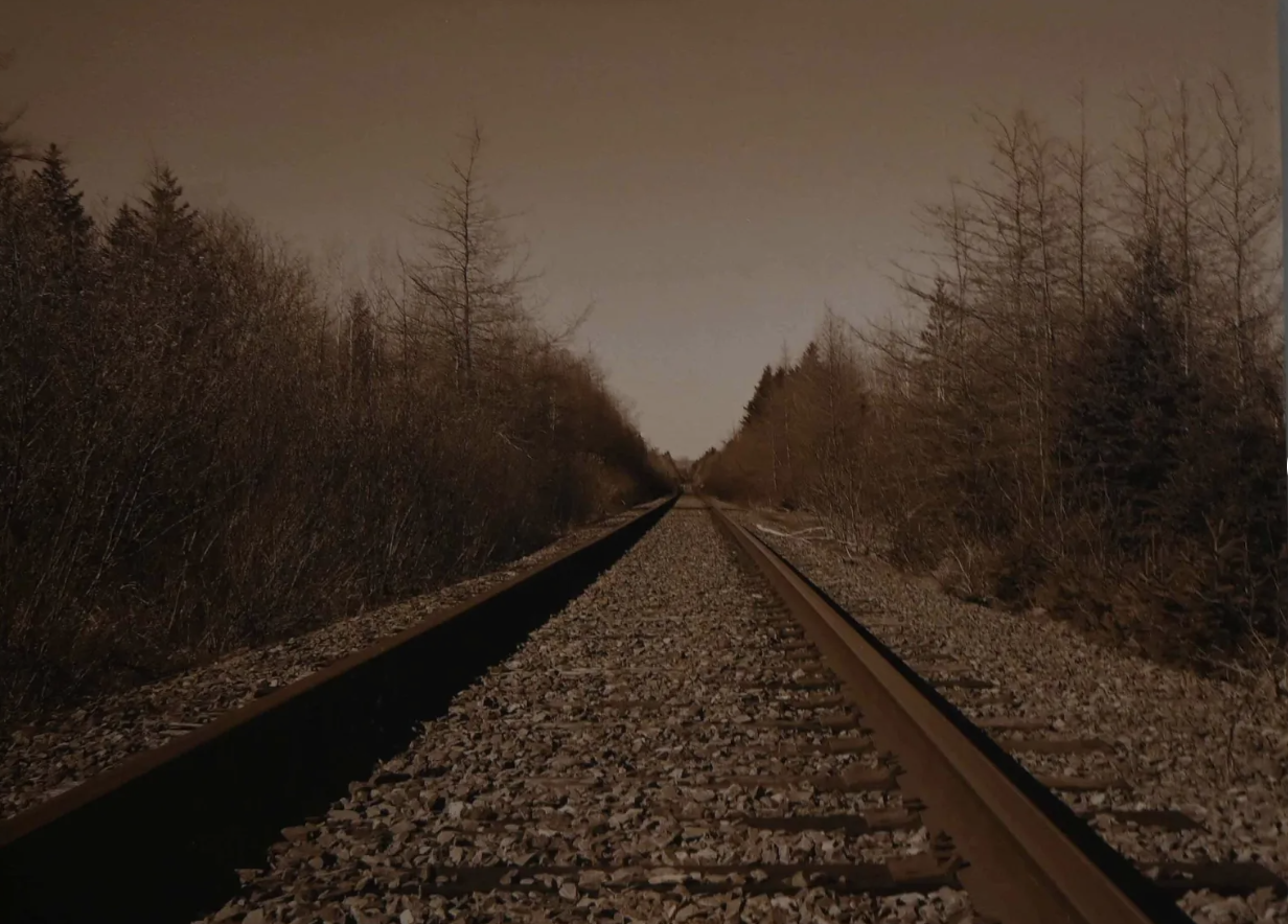 Screenshot 2026-02-19 at 5.23.48 PM.png