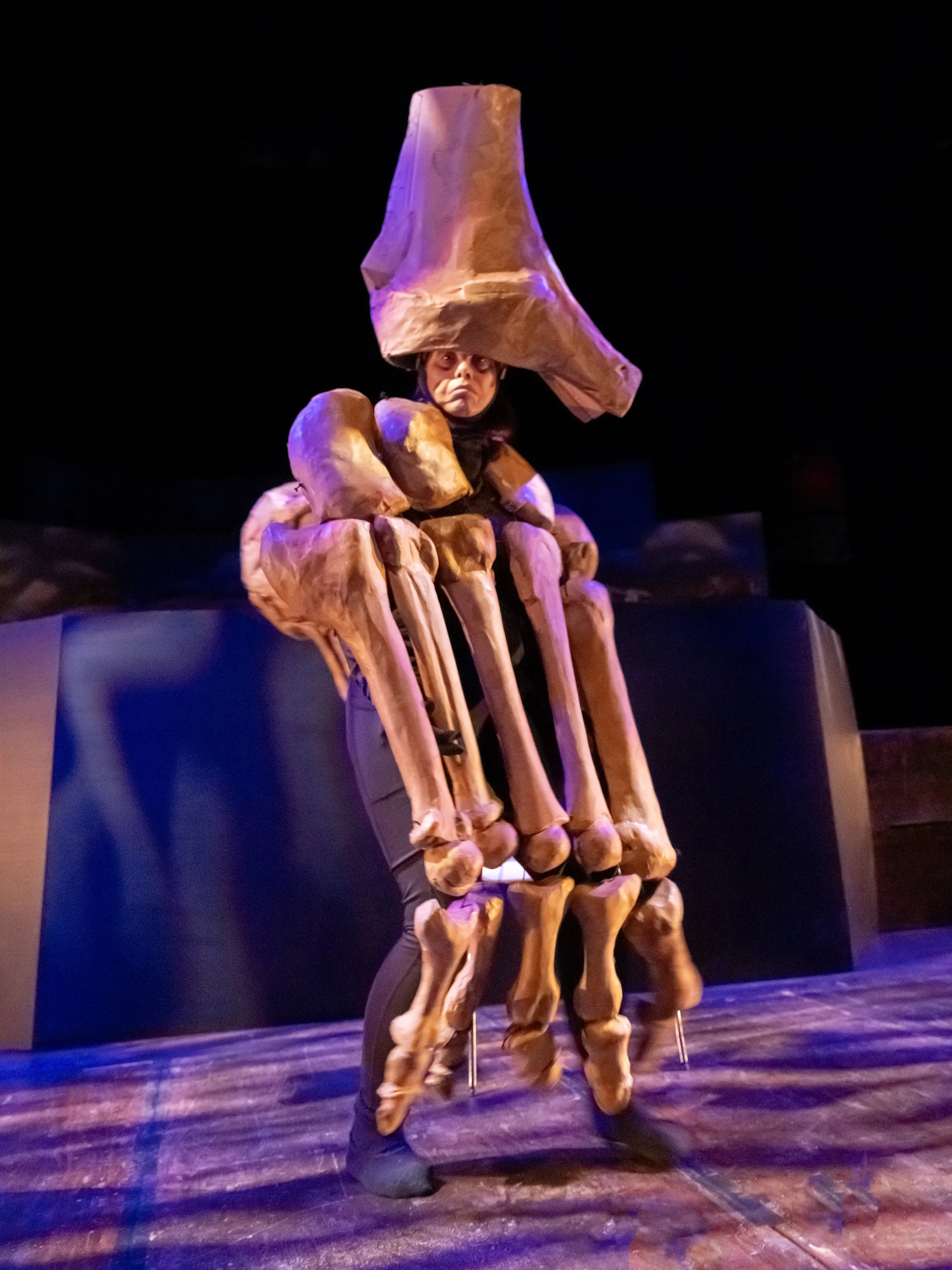 2026-02-27 FOOTNOTES-Theodora Skipitares-La MAMA-RT 055 copy.jpg