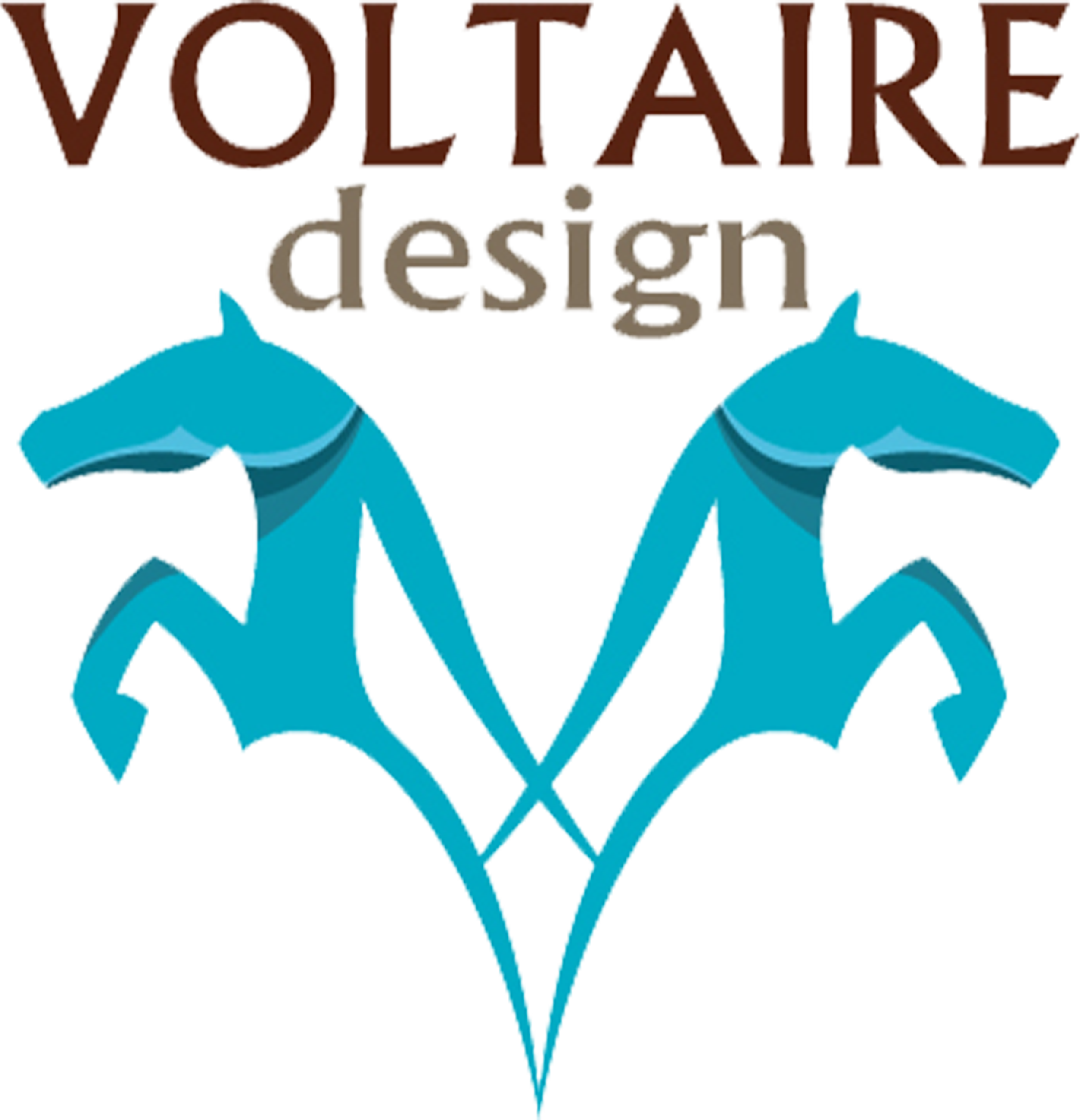 Voltaire-Logo.jpg.png