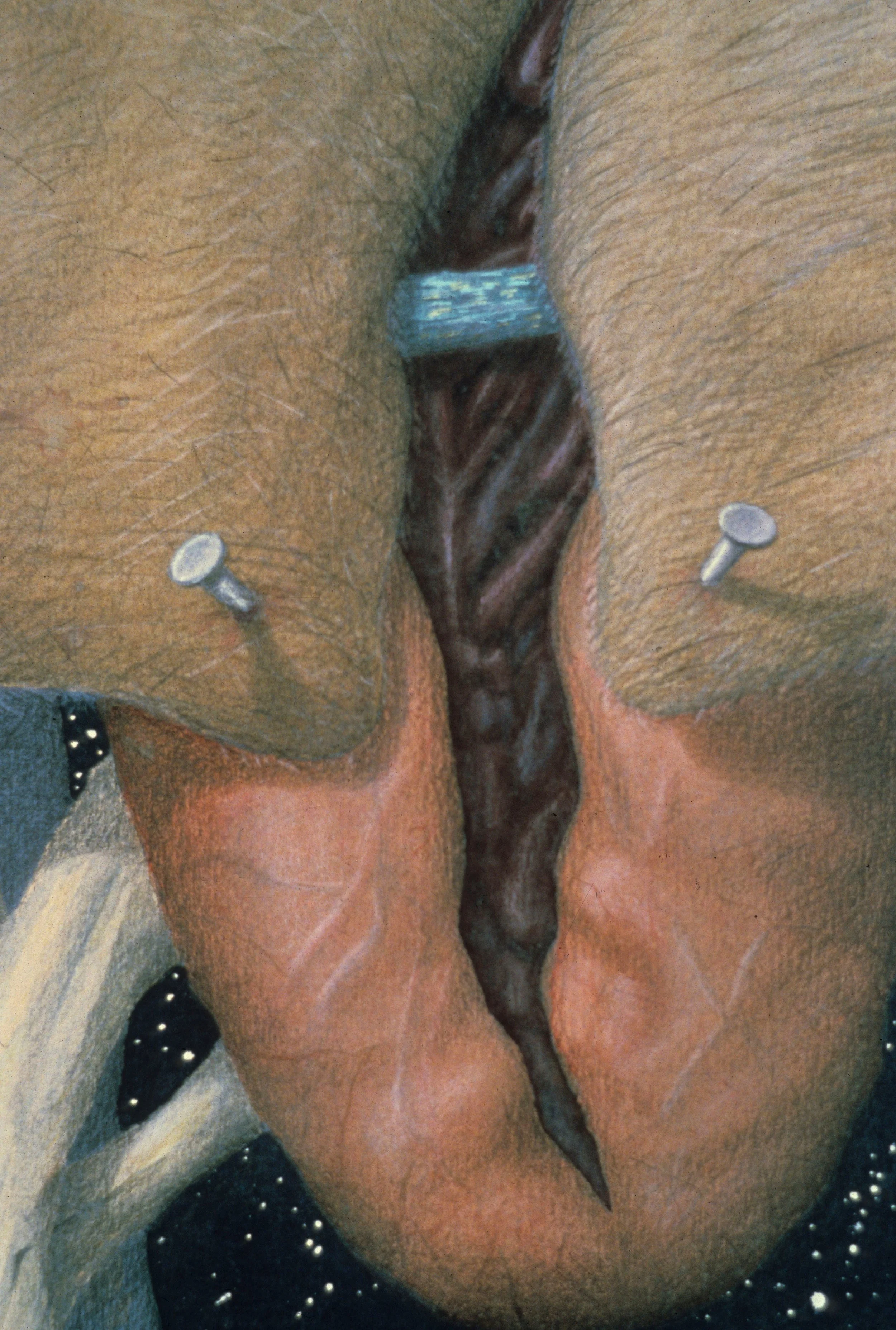 "The Under V" (detail)