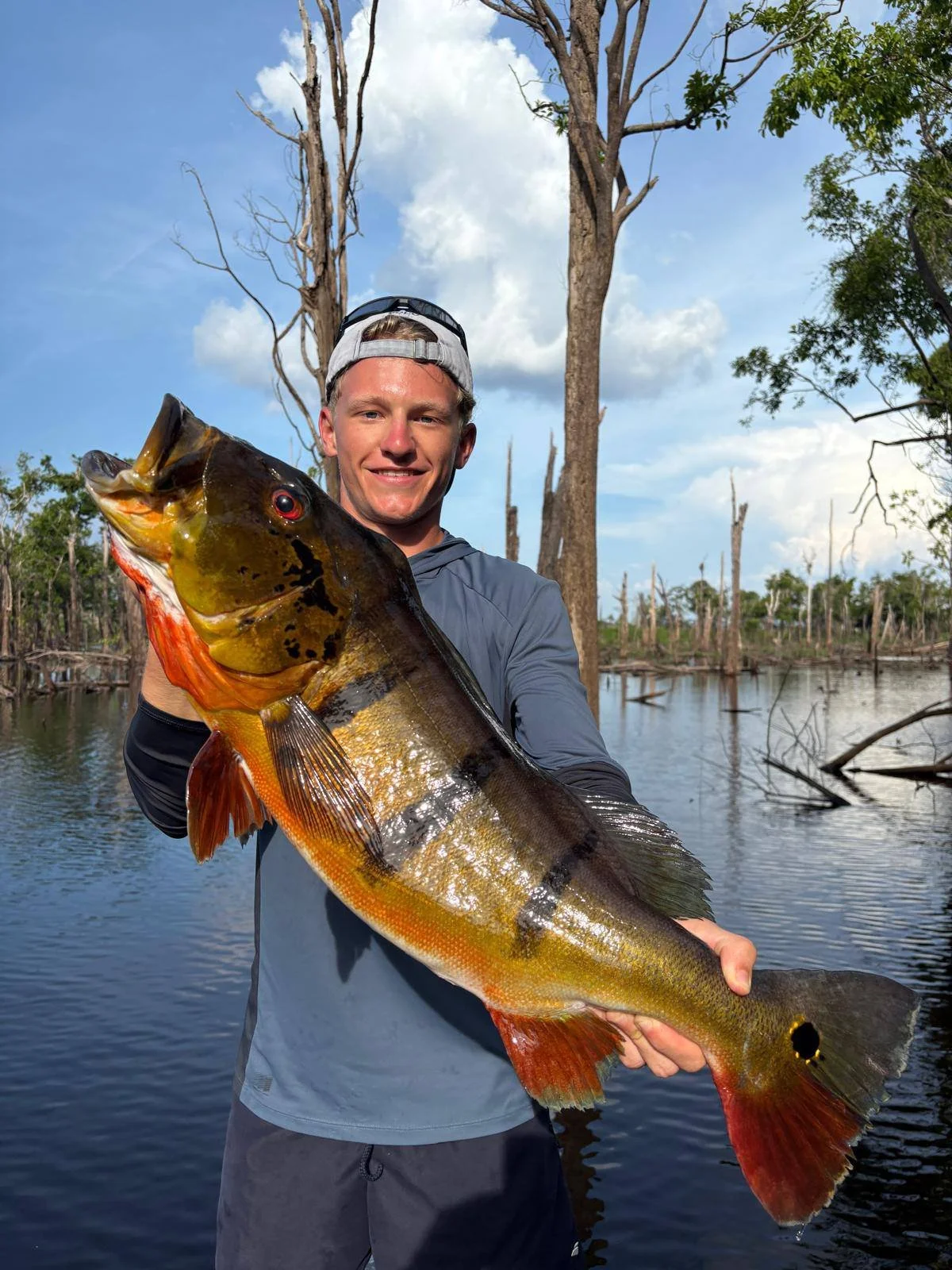 amazonas brasilien fiskeresa