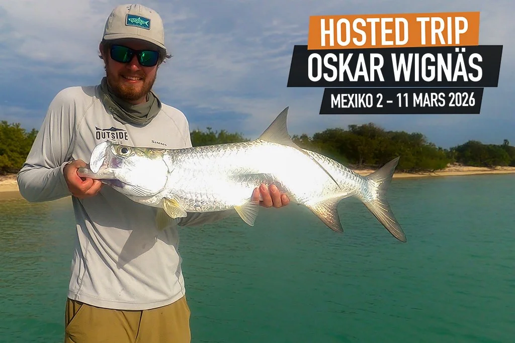Flugfiskare på flats i Ascension Bay, Mexiko under fiskeresa med Oskar Wignäs.
