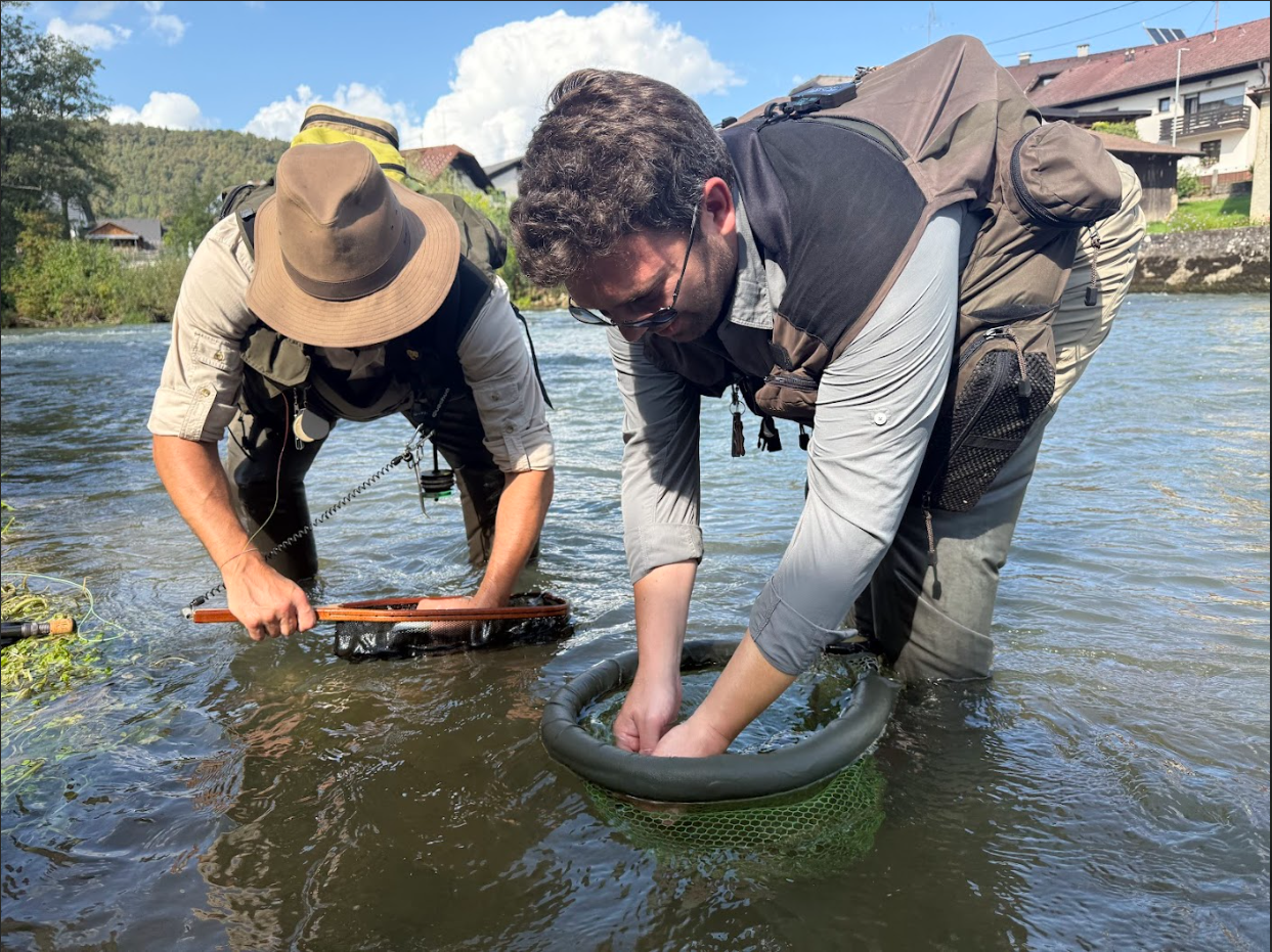 Guide visar vägen längs Sava älv i Slovenien med två fångster.