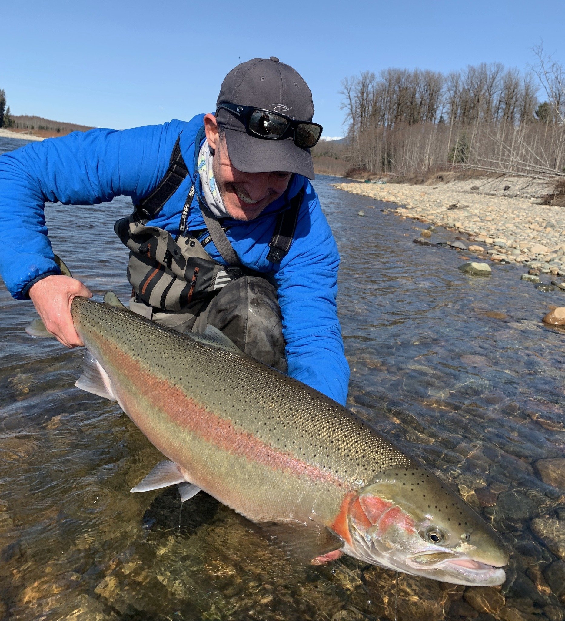 Stor steelhead
