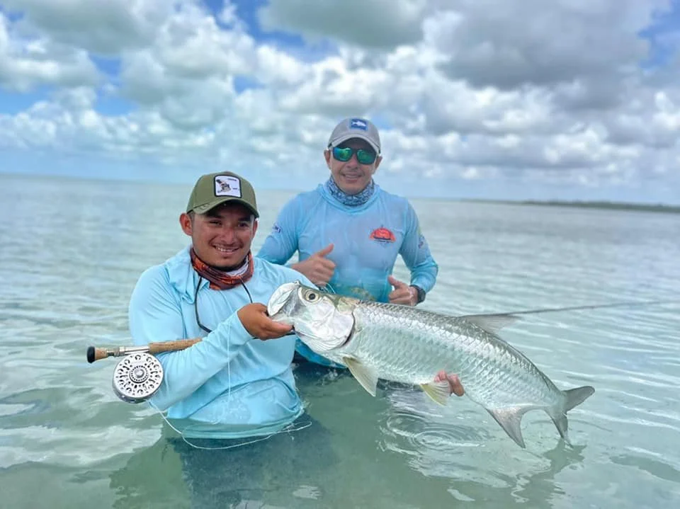Tarpon mexiko.jpg