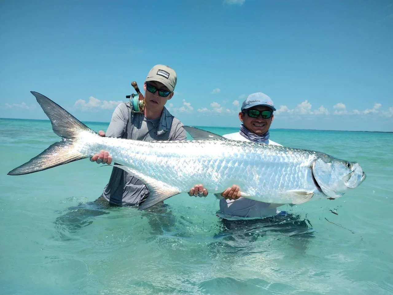 Tarpon mexiko fiskeresa.jpg