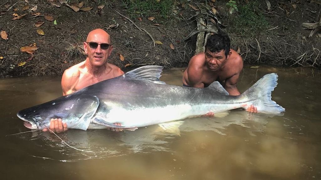 mal amazonas.jpg