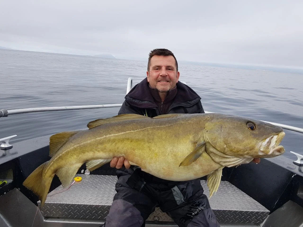 cod fishing Risøyhamn..jpg