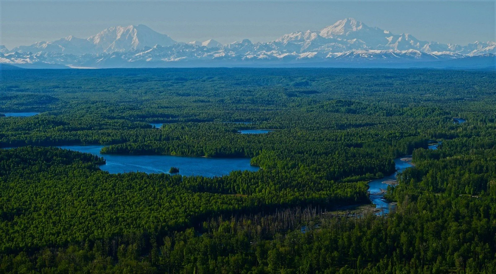 Vy över grön skog med små sjöar och snötäckta berg i bakgrunden
